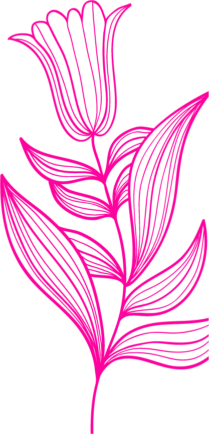 A digital line drawing of a flower with pink outlines against a black background, featuring a large bloom at the top and long, curved leaves along the stem.