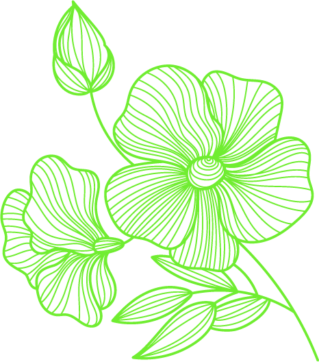 Outline of a flower with large petals, a bud, and leafy stems in neon green on black background.