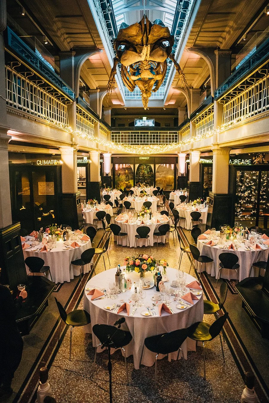 Full room view of whale skeleton in bright colourful wedding