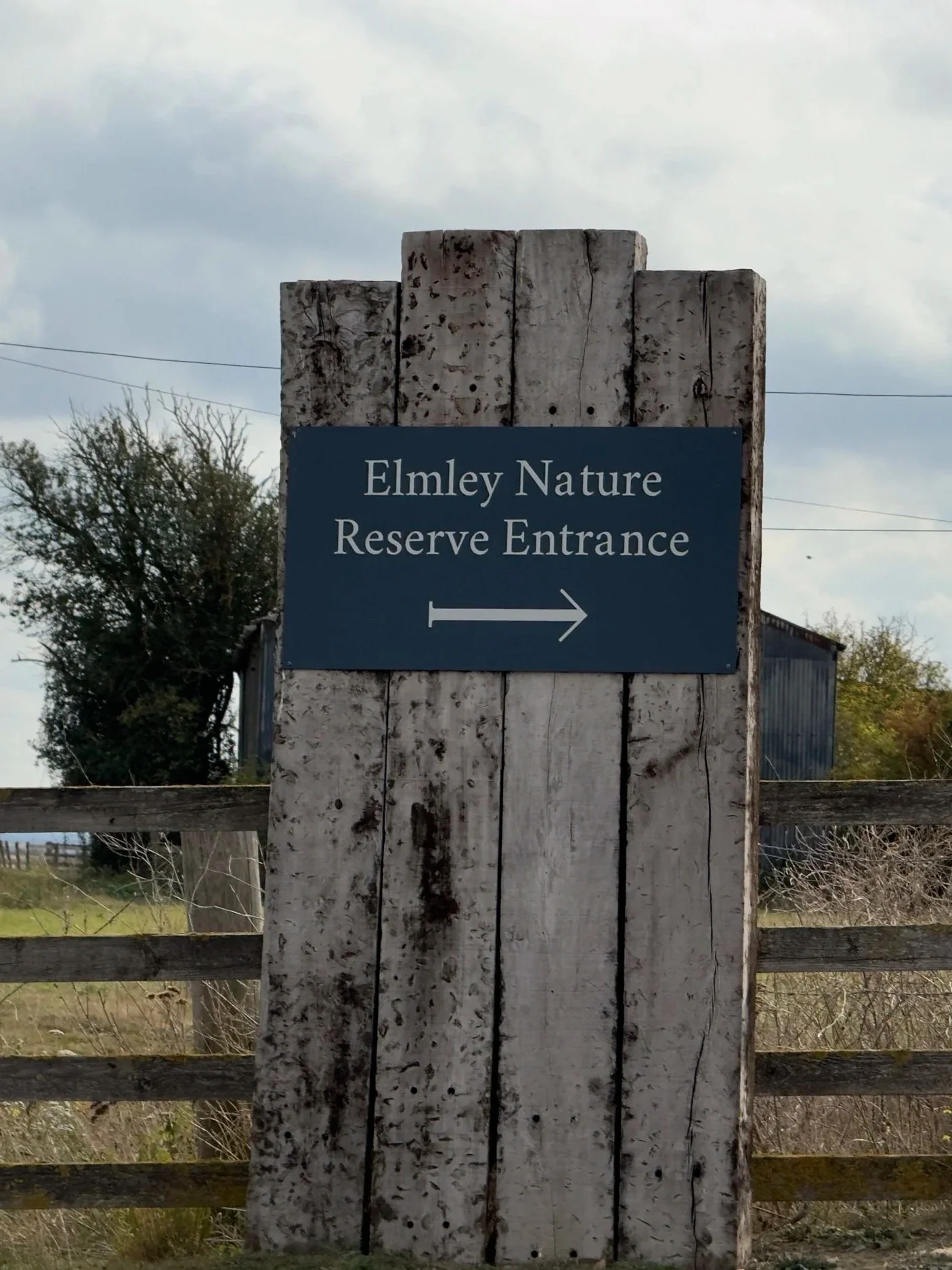 elmley nature reserve in kent
