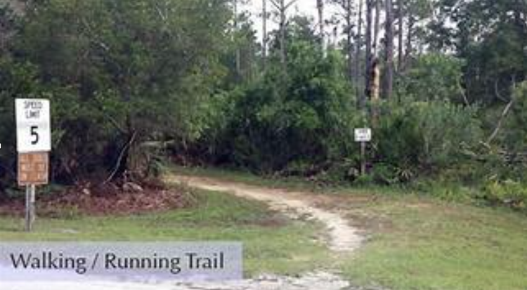 How to Enhance Your Fitness Level: Walking