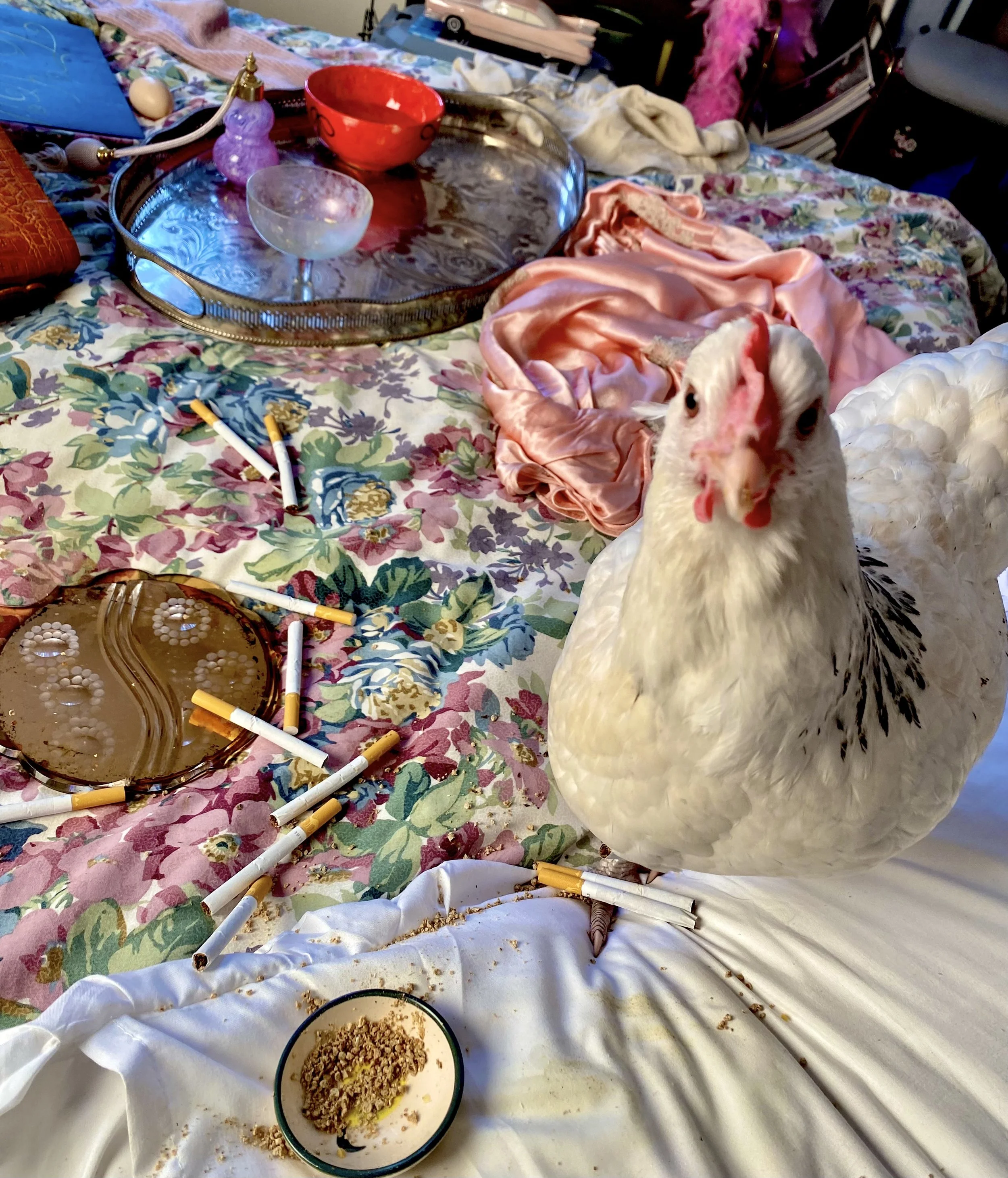 CHICKEN - Short Film