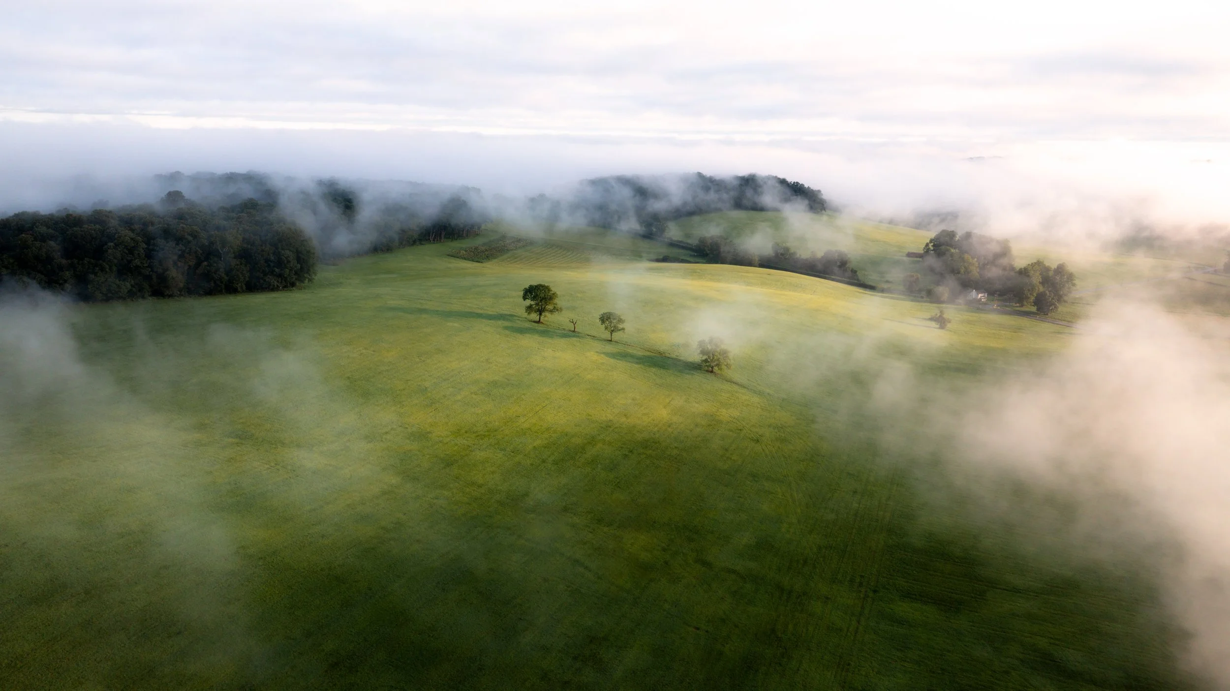 DJI_0014-Edit.jpg