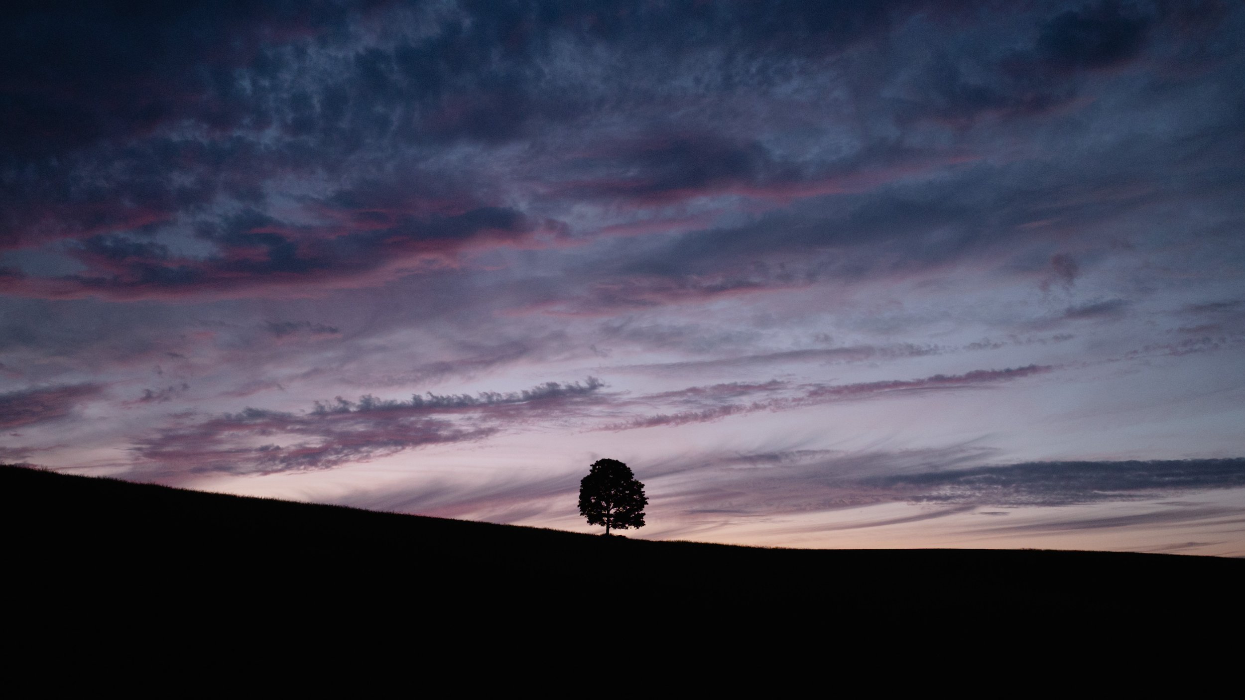 DJI_0424.jpg
