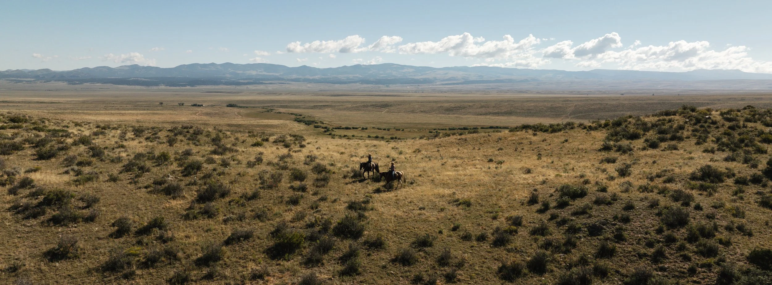 DJI_0418.jpg