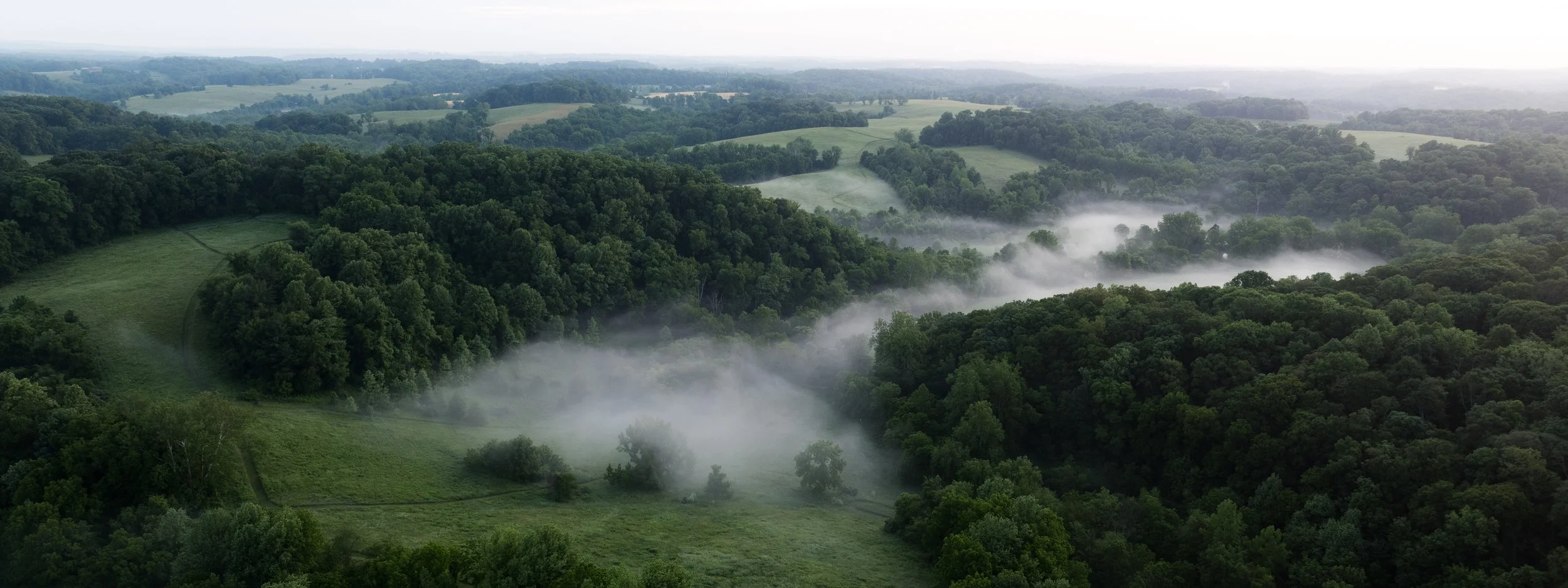 DJI_0690-2.jpg
