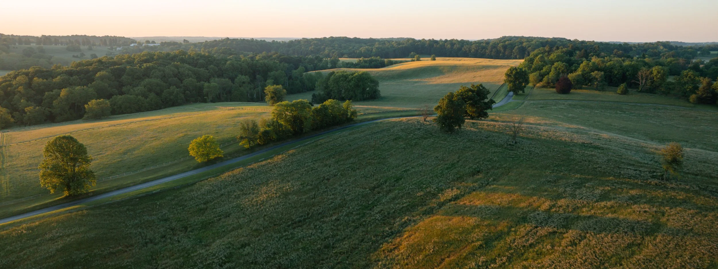 DJI_0536-2.jpg
