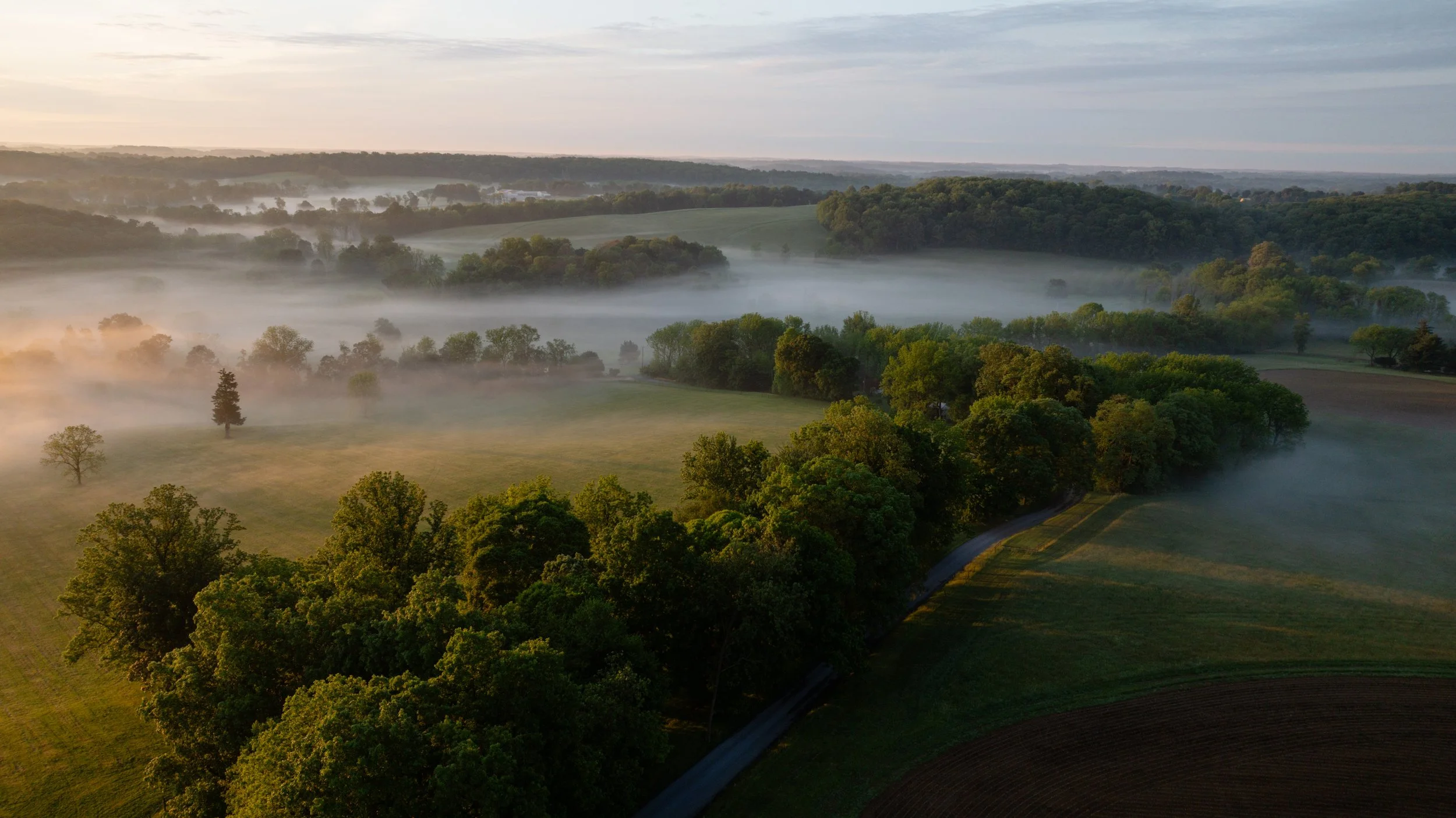 DJI_0431.jpg