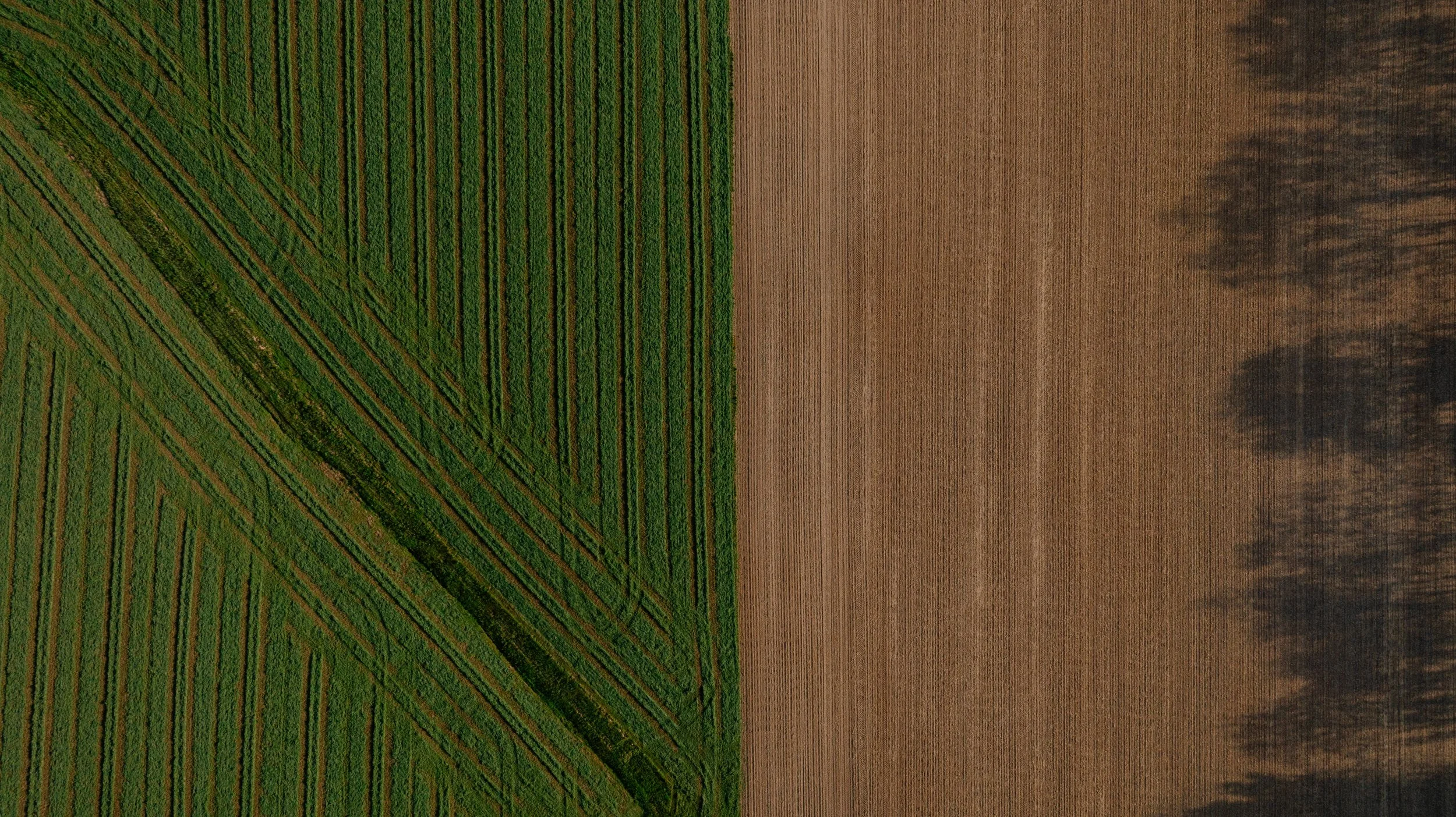 DJI_0320.jpg