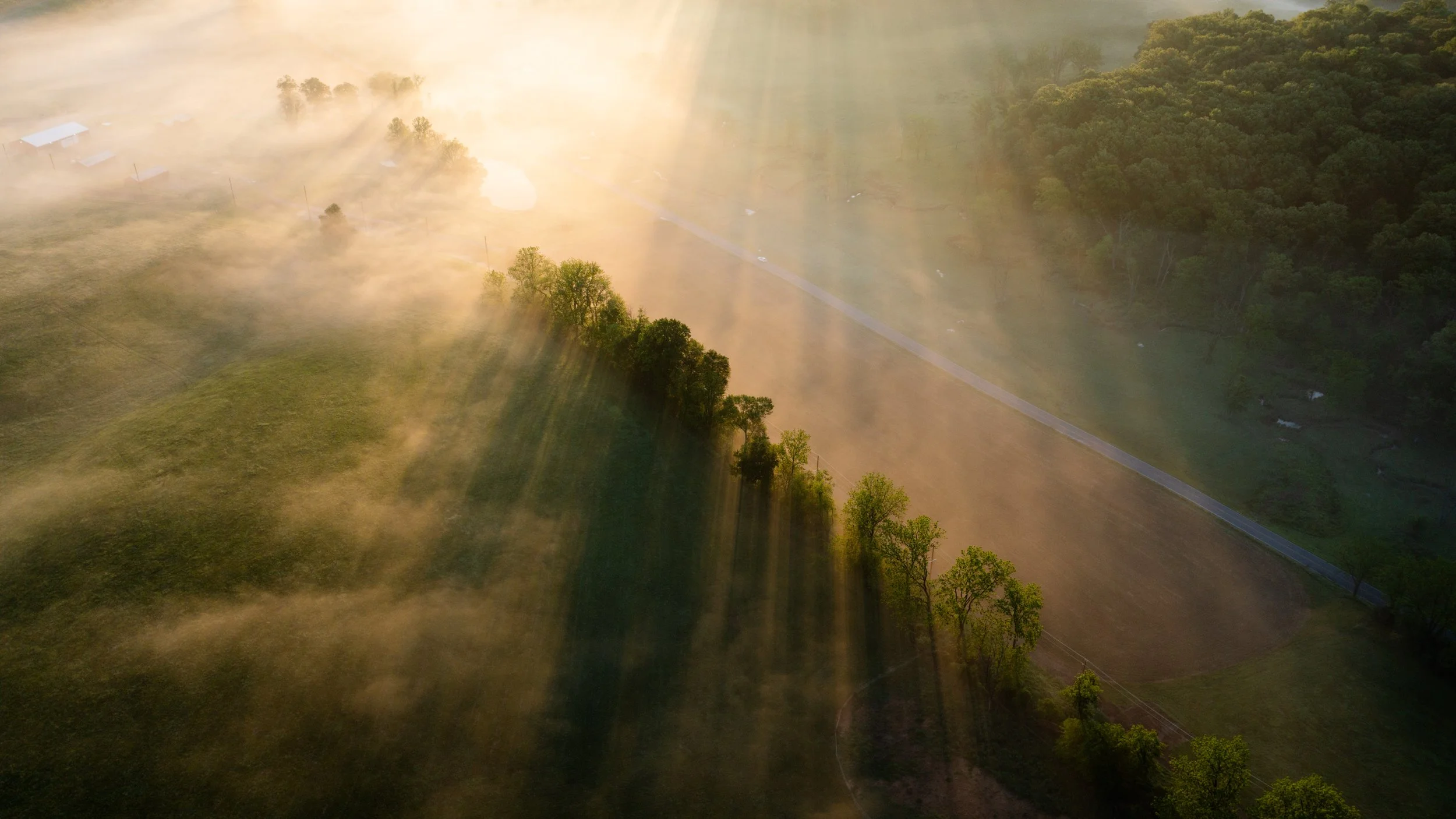 DJI_0460.jpg