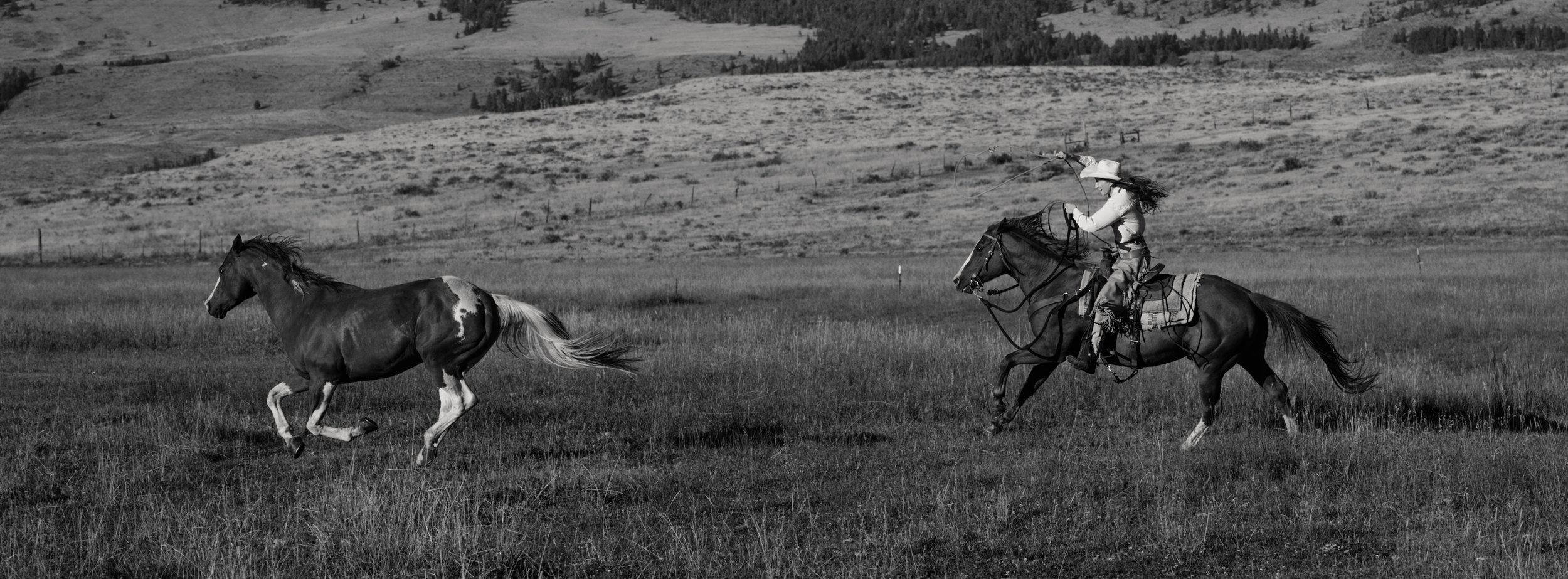 MGP_0737.jpg