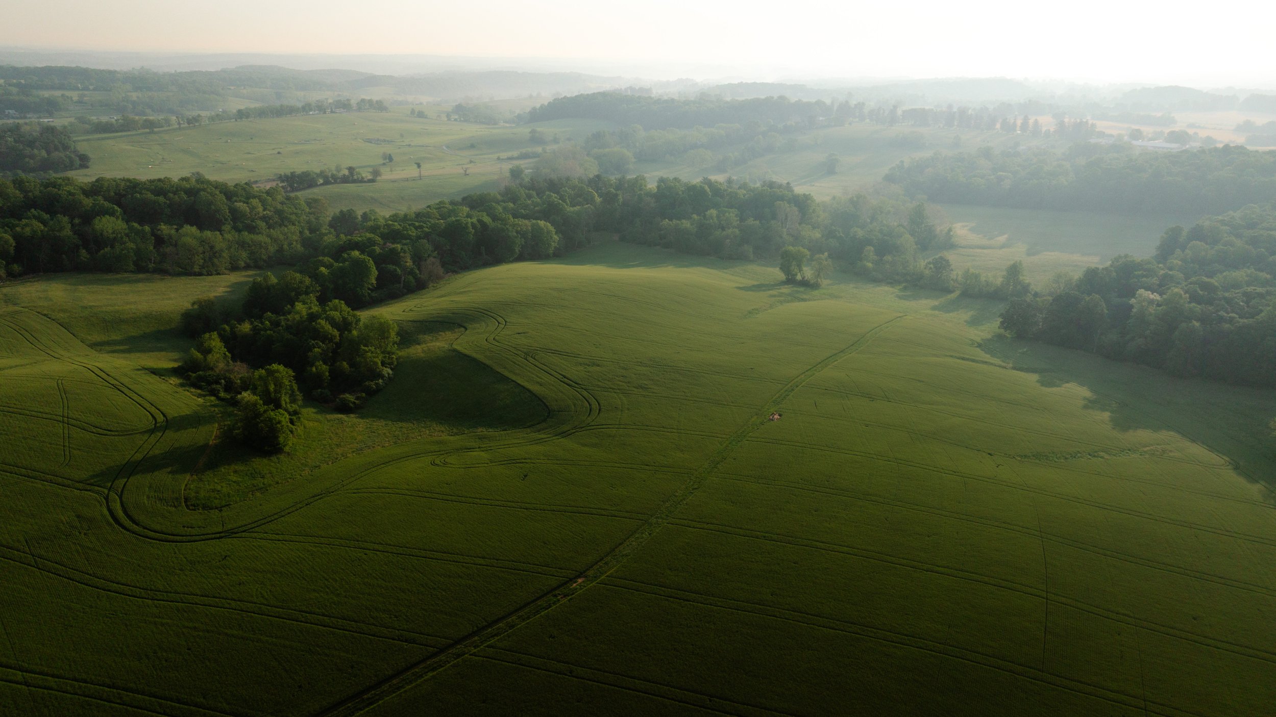 DJI_0392.jpg