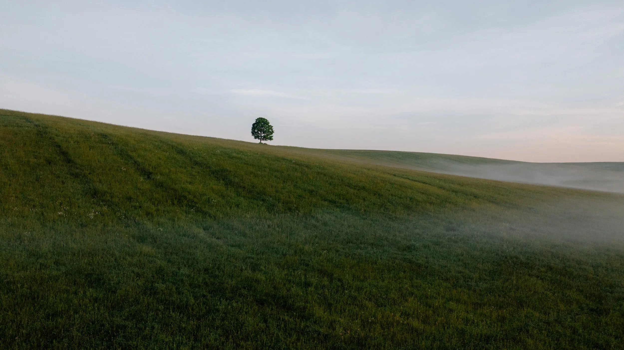 DJI_0280.jpg