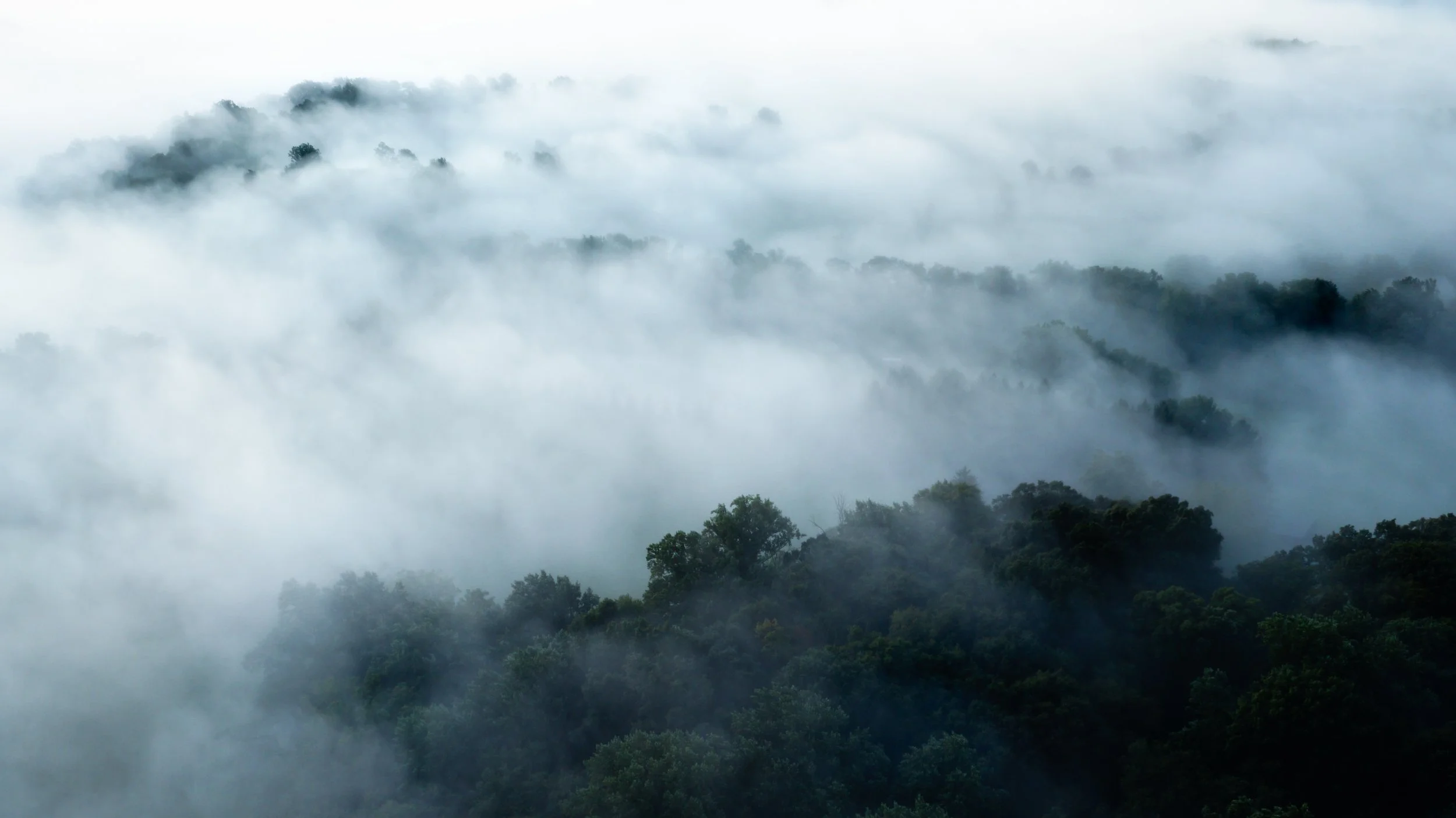 DJI_0024-Edit.jpg