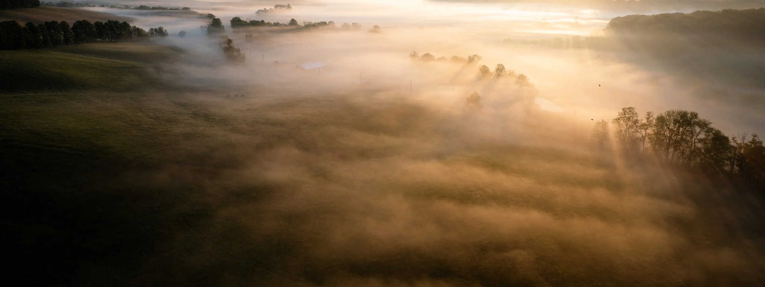 DJI_0448.jpg