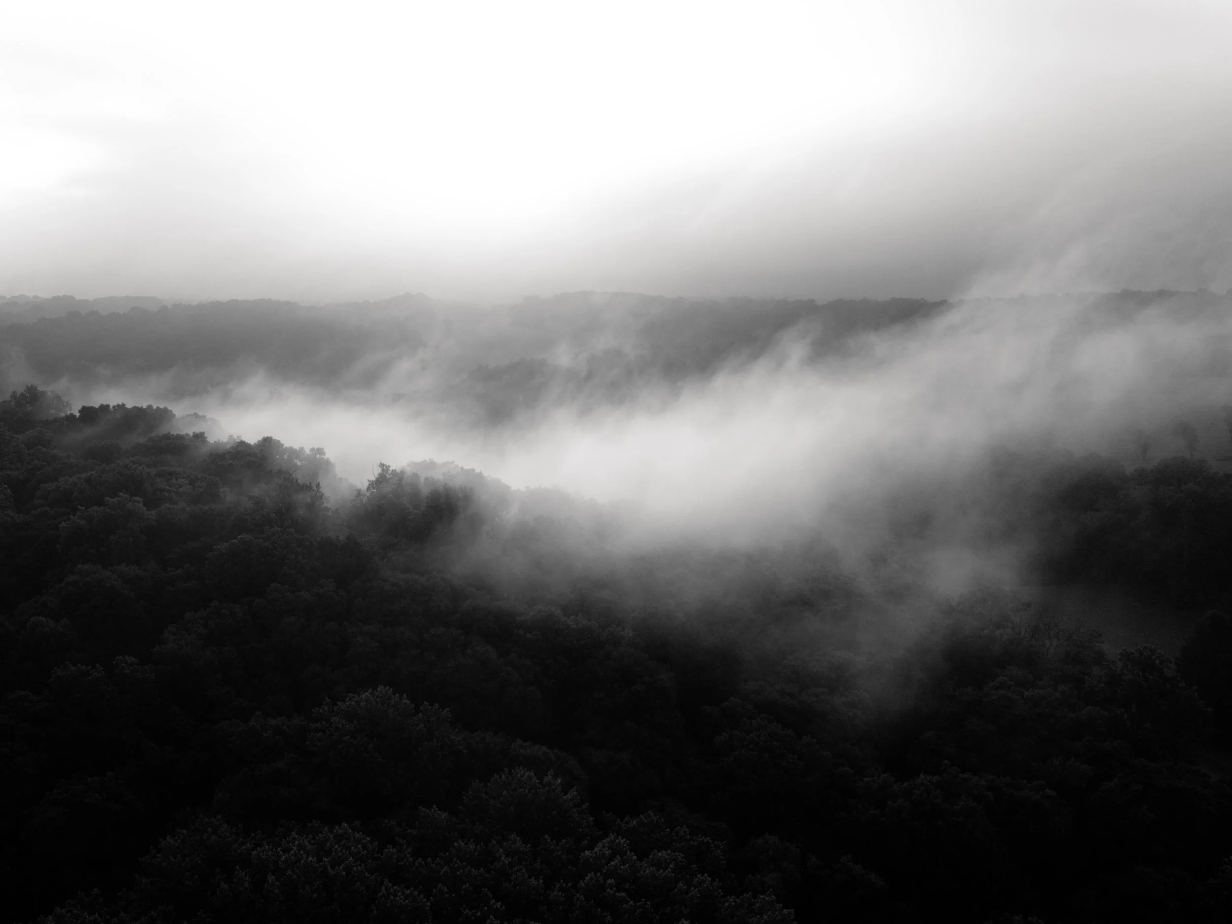 DJI_0980-2.jpg