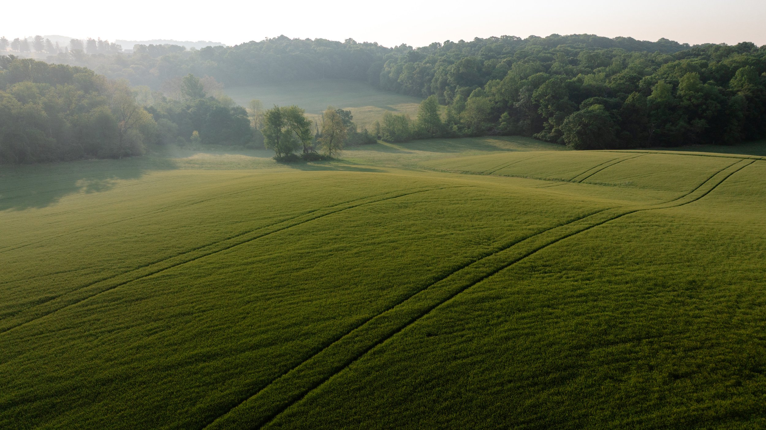 DJI_0384.jpg