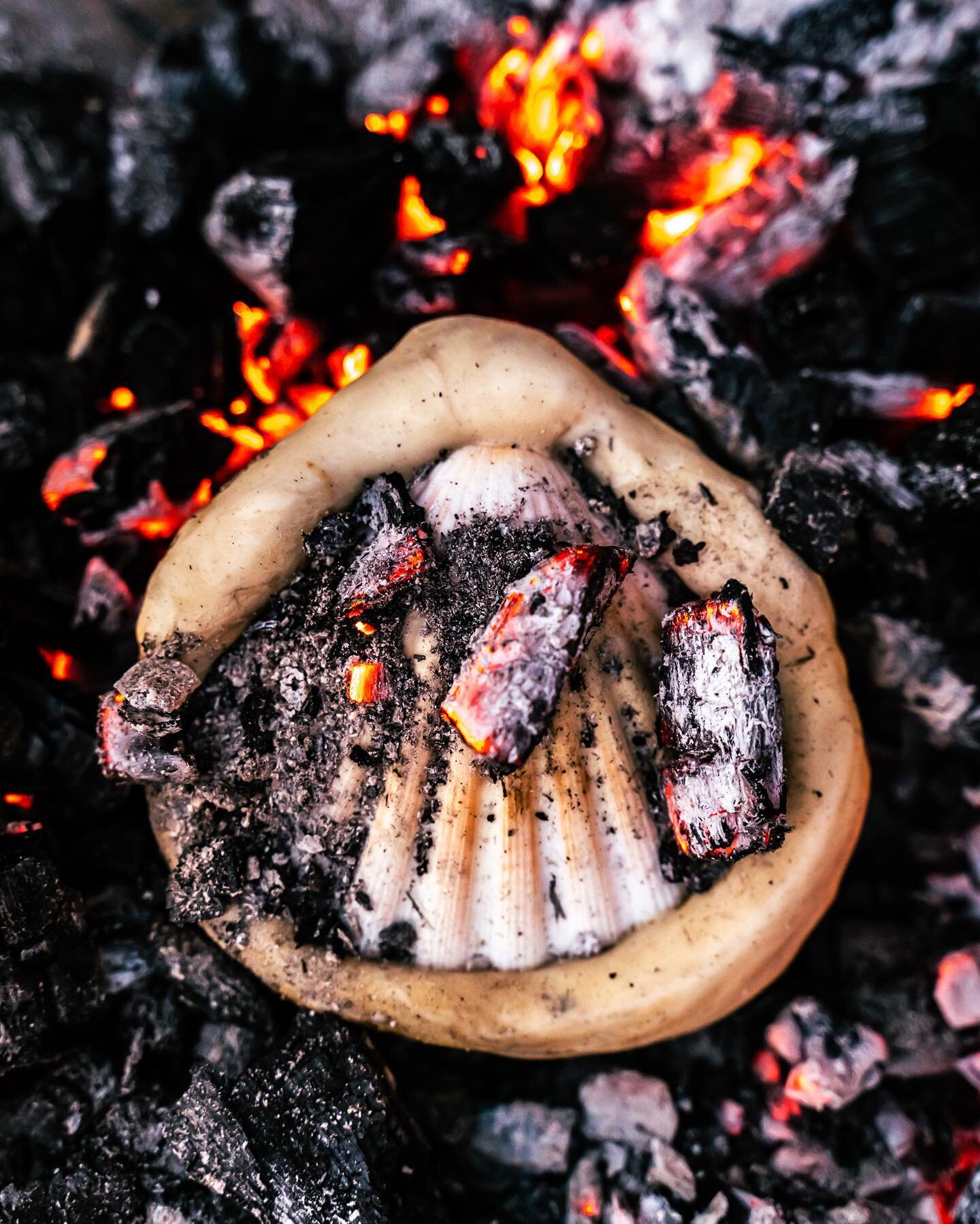 Coquille gegaard op de kooltjes &ldquo;en cro&ucirc;te&rdquo;

Koken is voor ons elke dag weer een nieuwe beleving. Nieuwe technieken, nieuwe bereidingen. Met alle mogelijkheden wat koken boven houtvuur te bieden heeft. Hier coquille gegaard op de ko