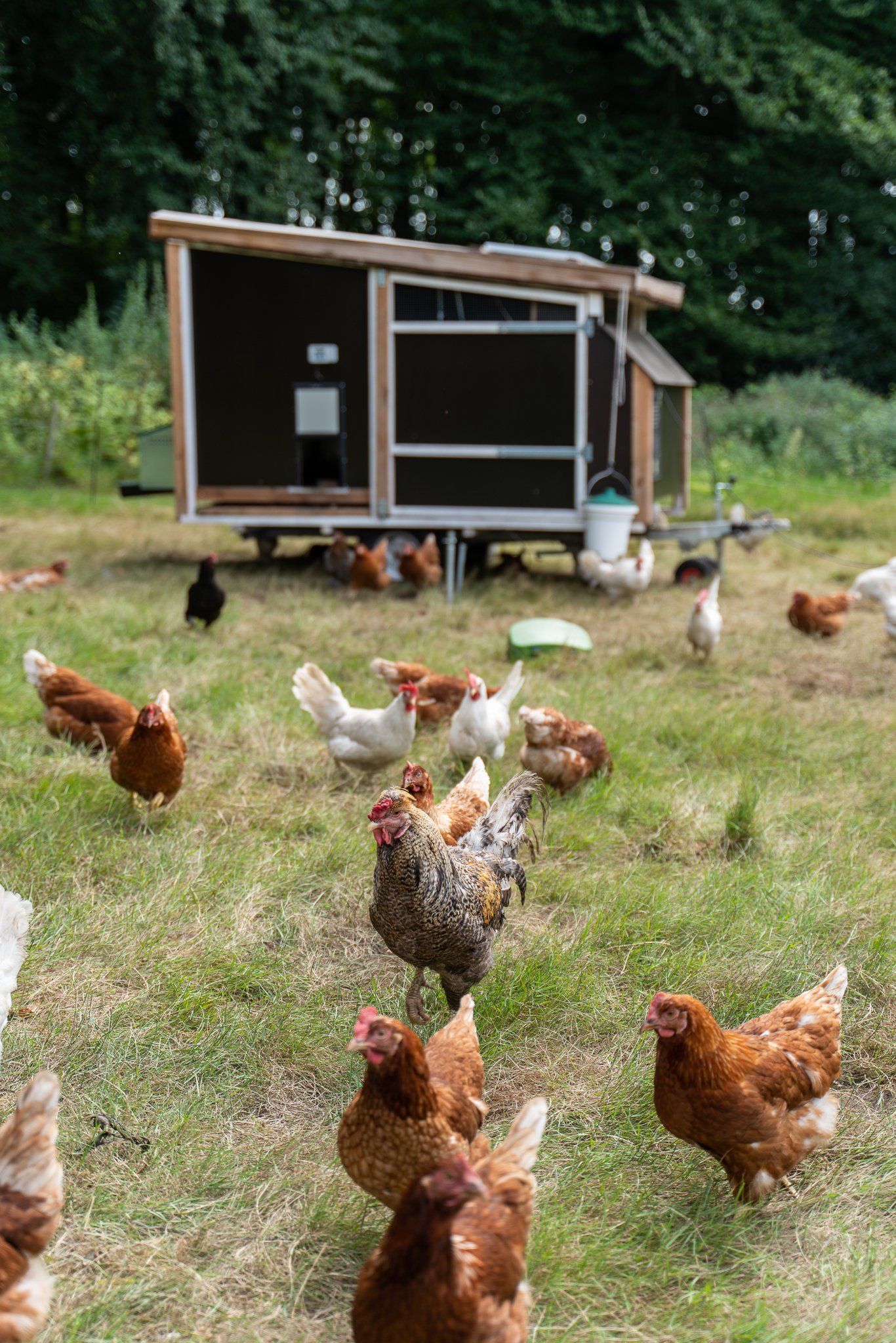 Duurzaam&nbsp;want voor het eten werken we zoveel mogelijk met ingrediënten van het landgoed.&nbsp;