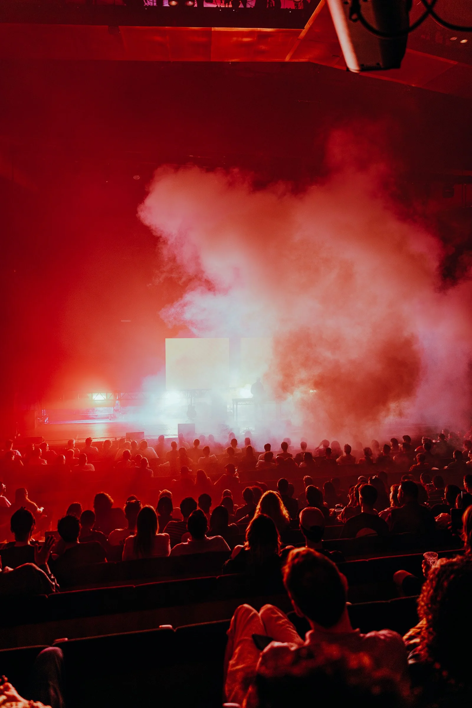 250614_Warp_AmyFernphotography_Webres_ 0286.jpg