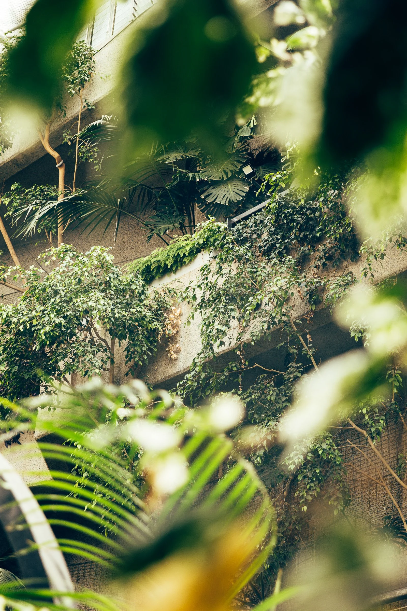 250614_Warp_AmyFernphotography_Webres_ 0074.jpg