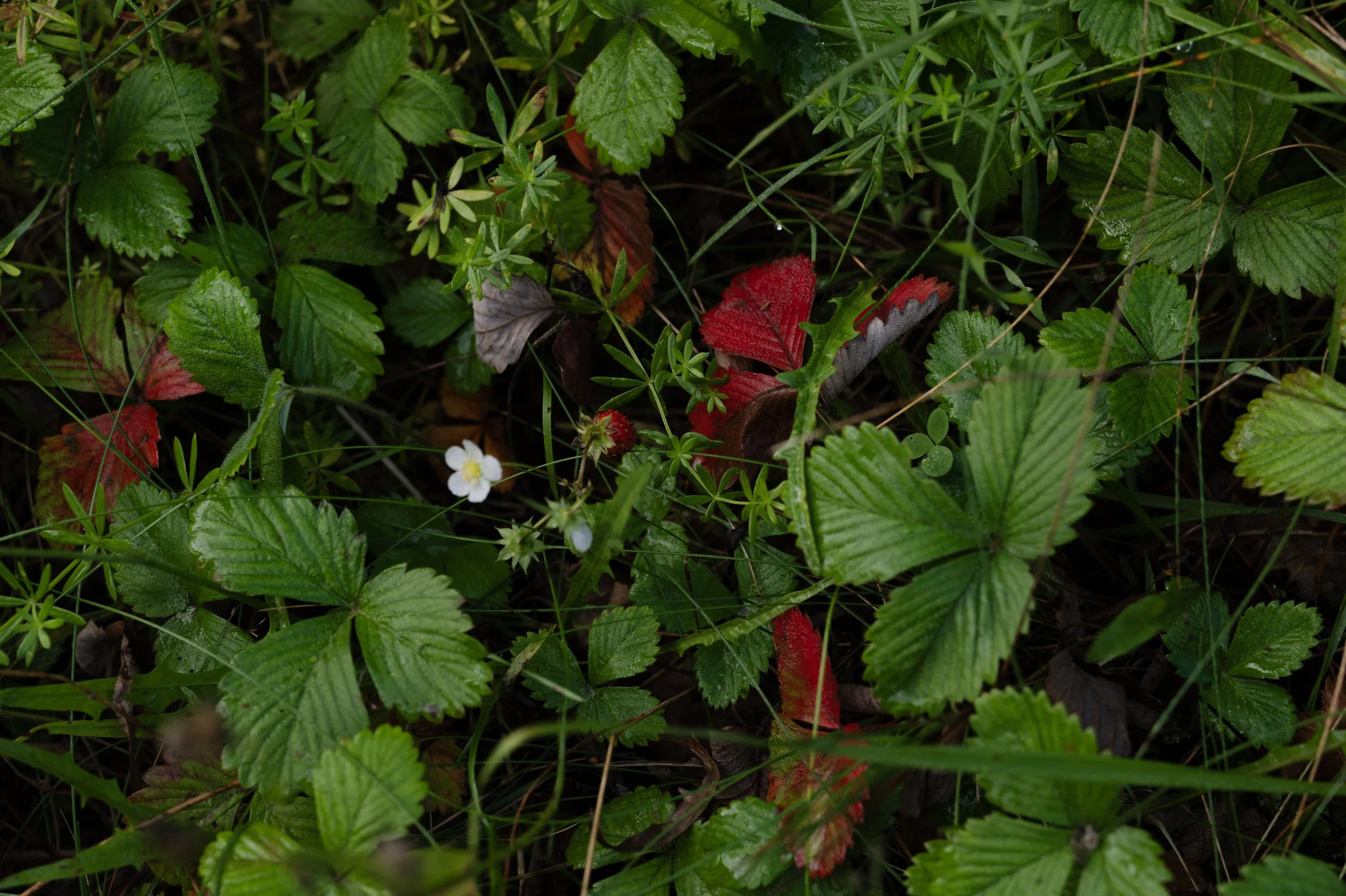 L1000527 copy.jpg