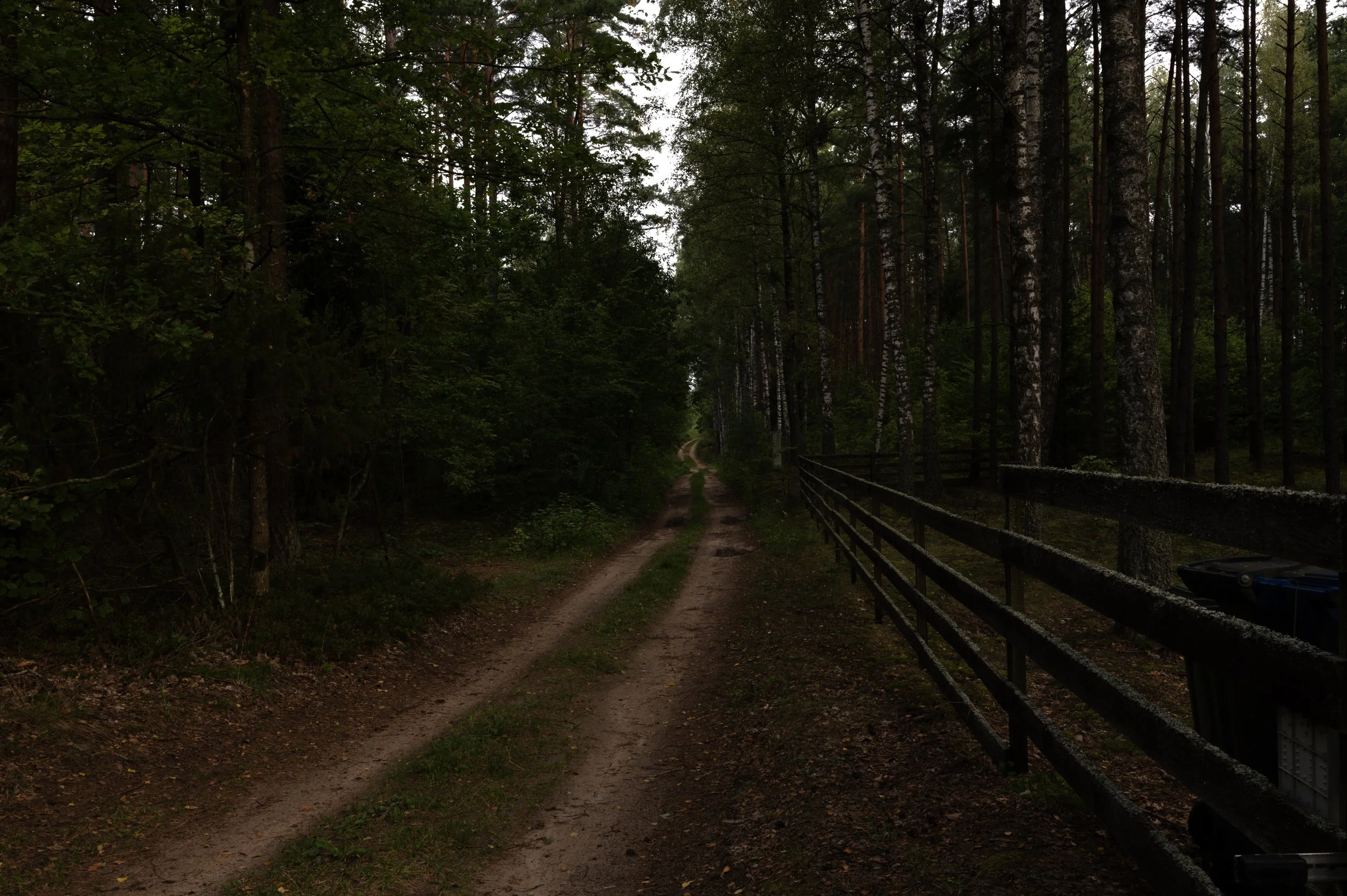 L1000391 copy.jpg