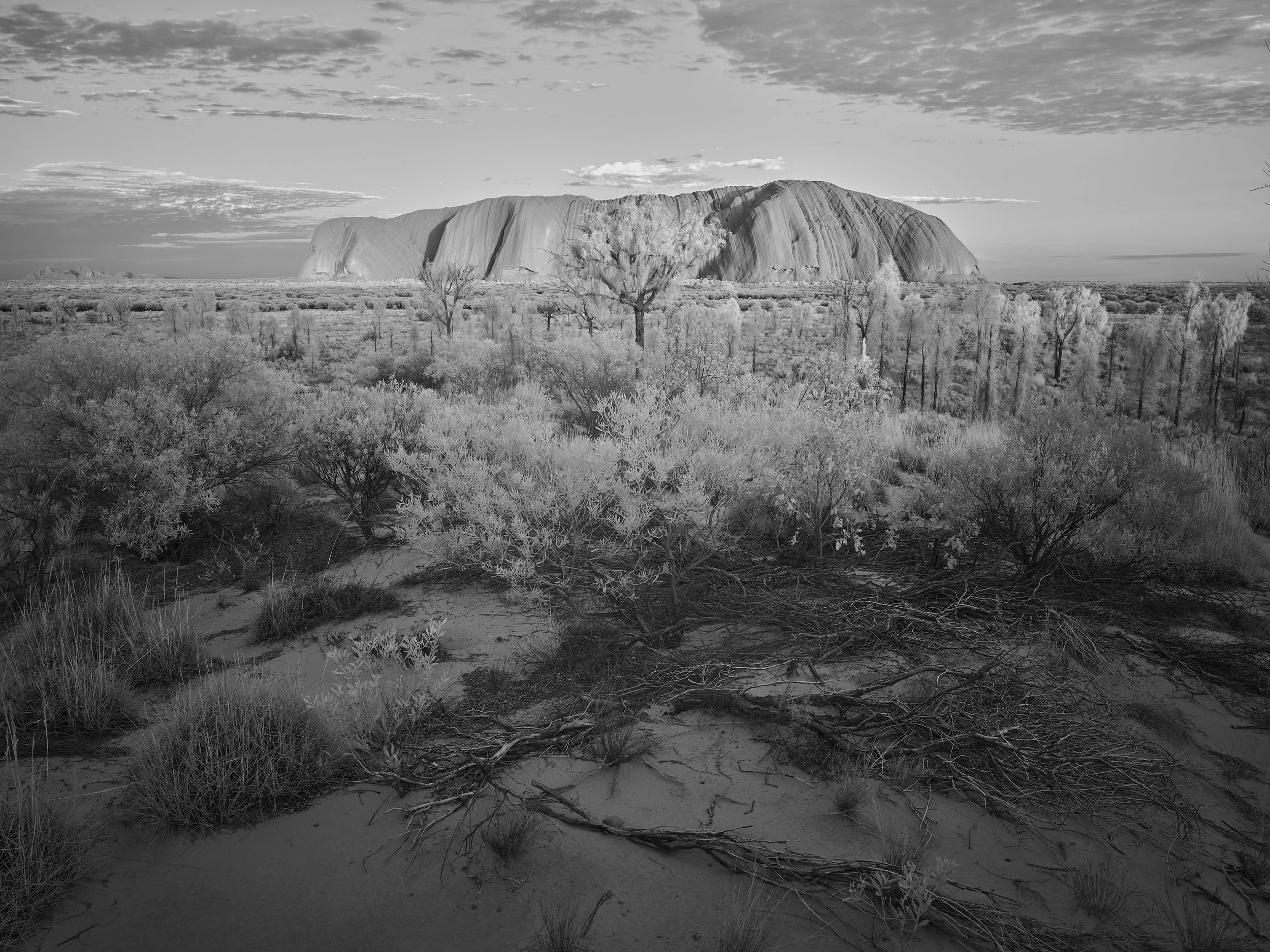 Uluru at Dawn