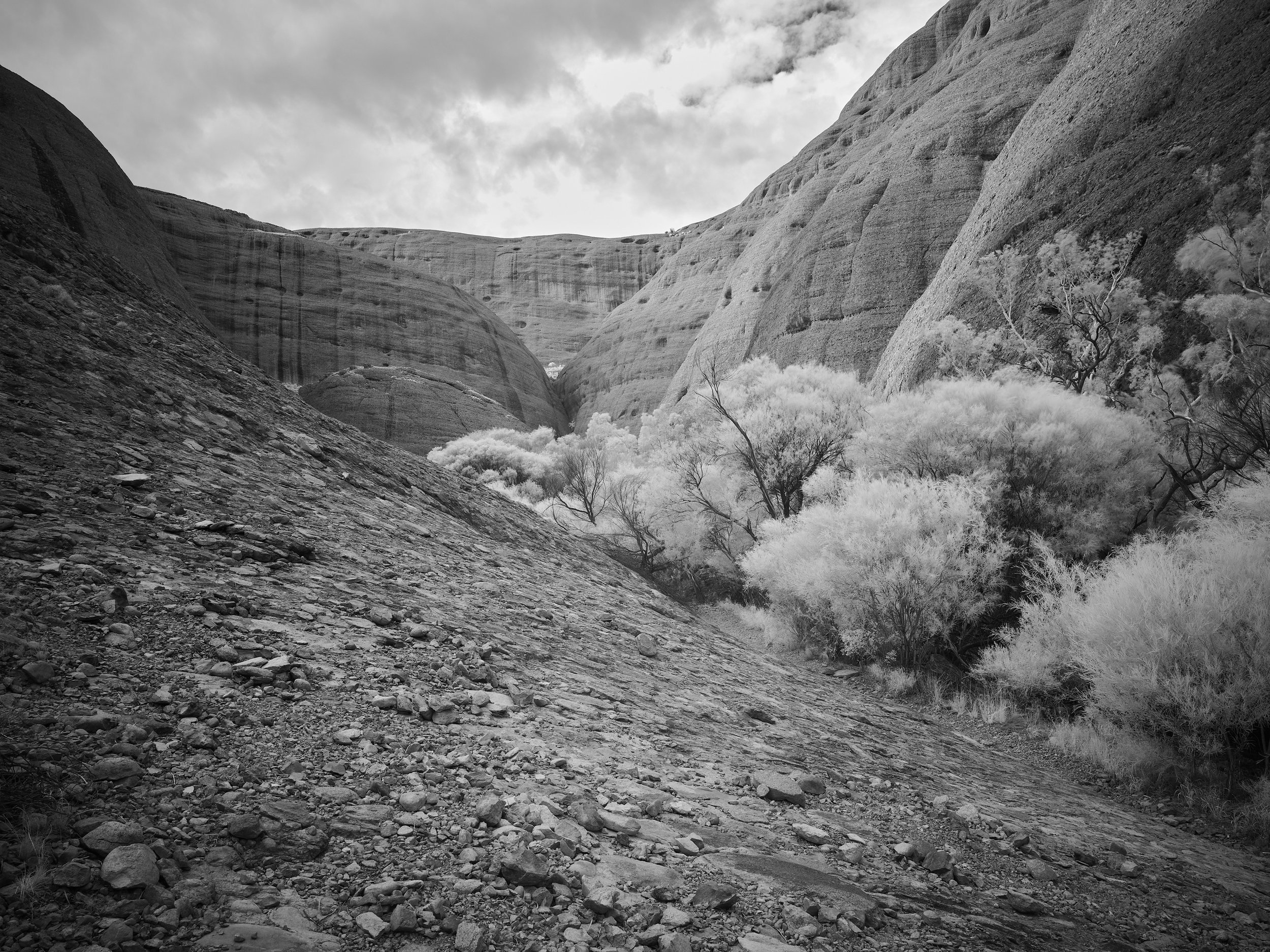 Valley of the Winds 2