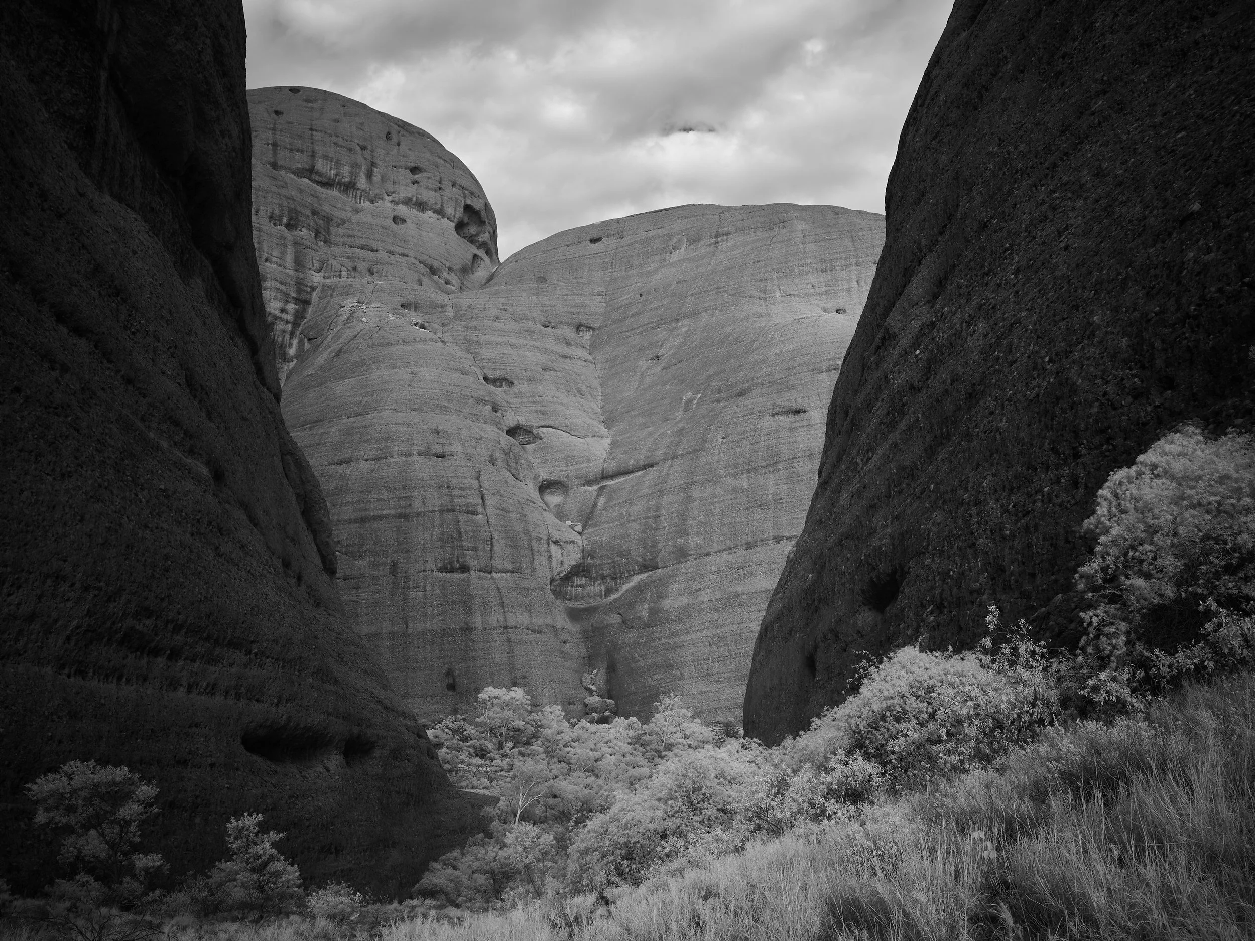 Valley of the Winds 1