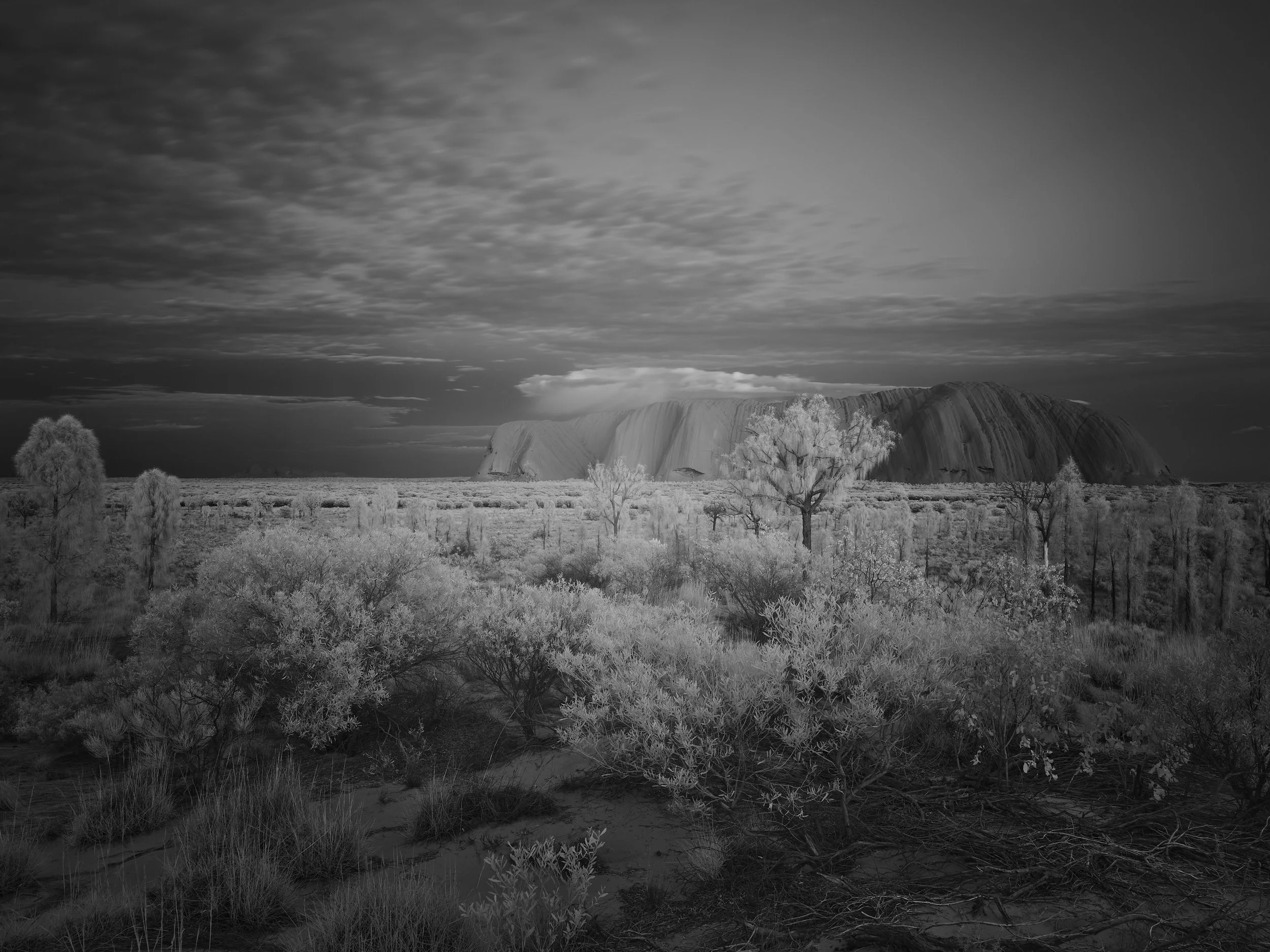 Uluru and Kata Tjuta at Dawn