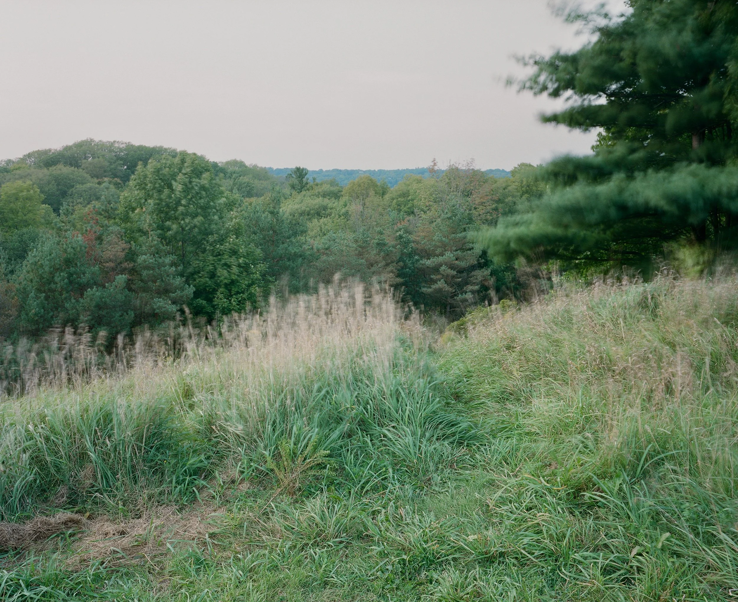 Groundhog Hill, Dundas, Ontario, Fujifilm, Mamiya 7