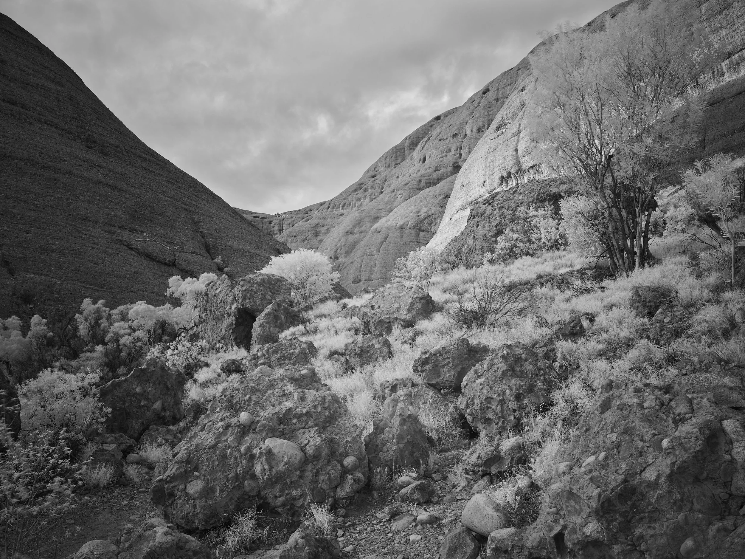 Valley of the Winds 3