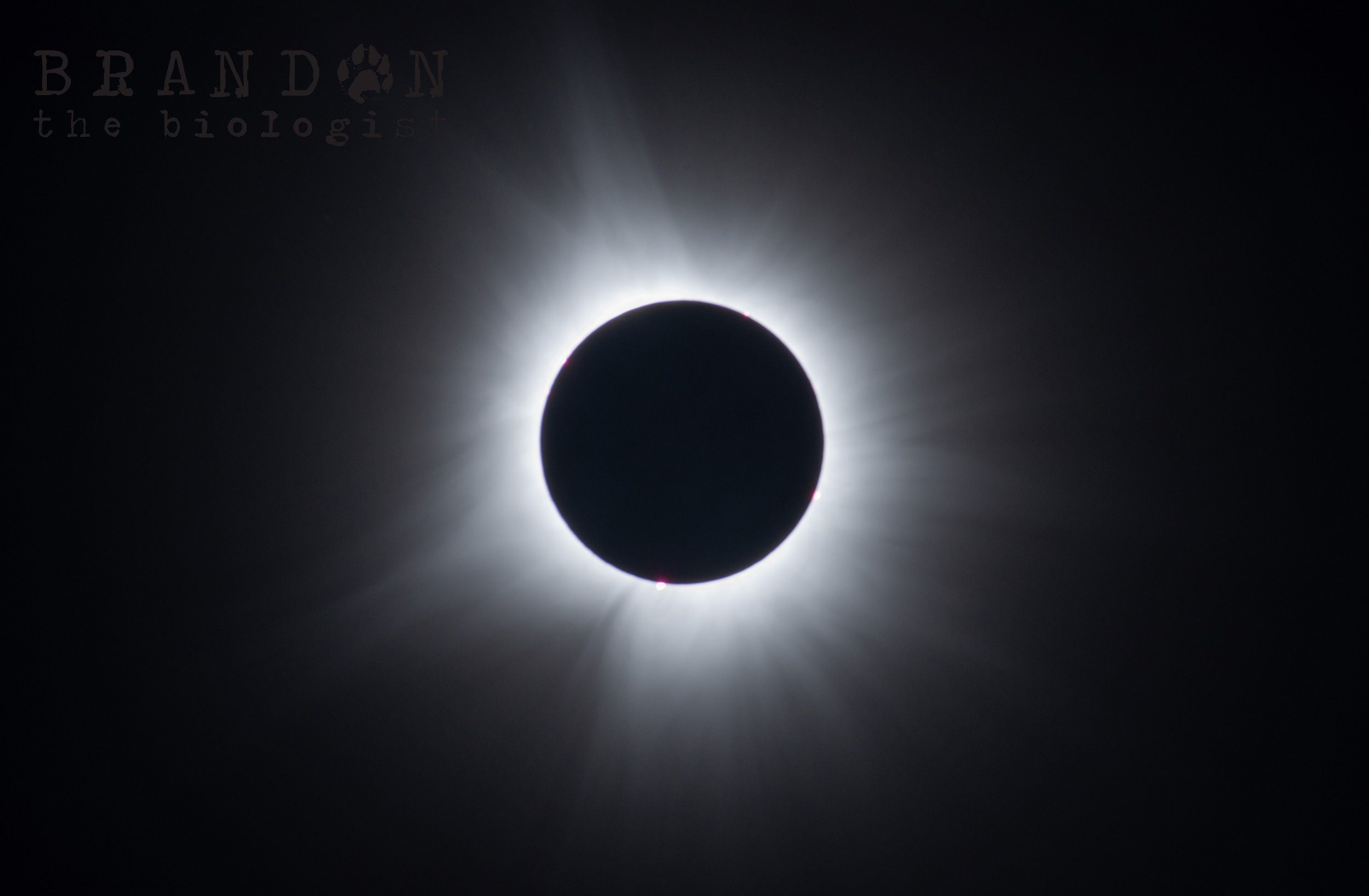 DSC_6370.jpg