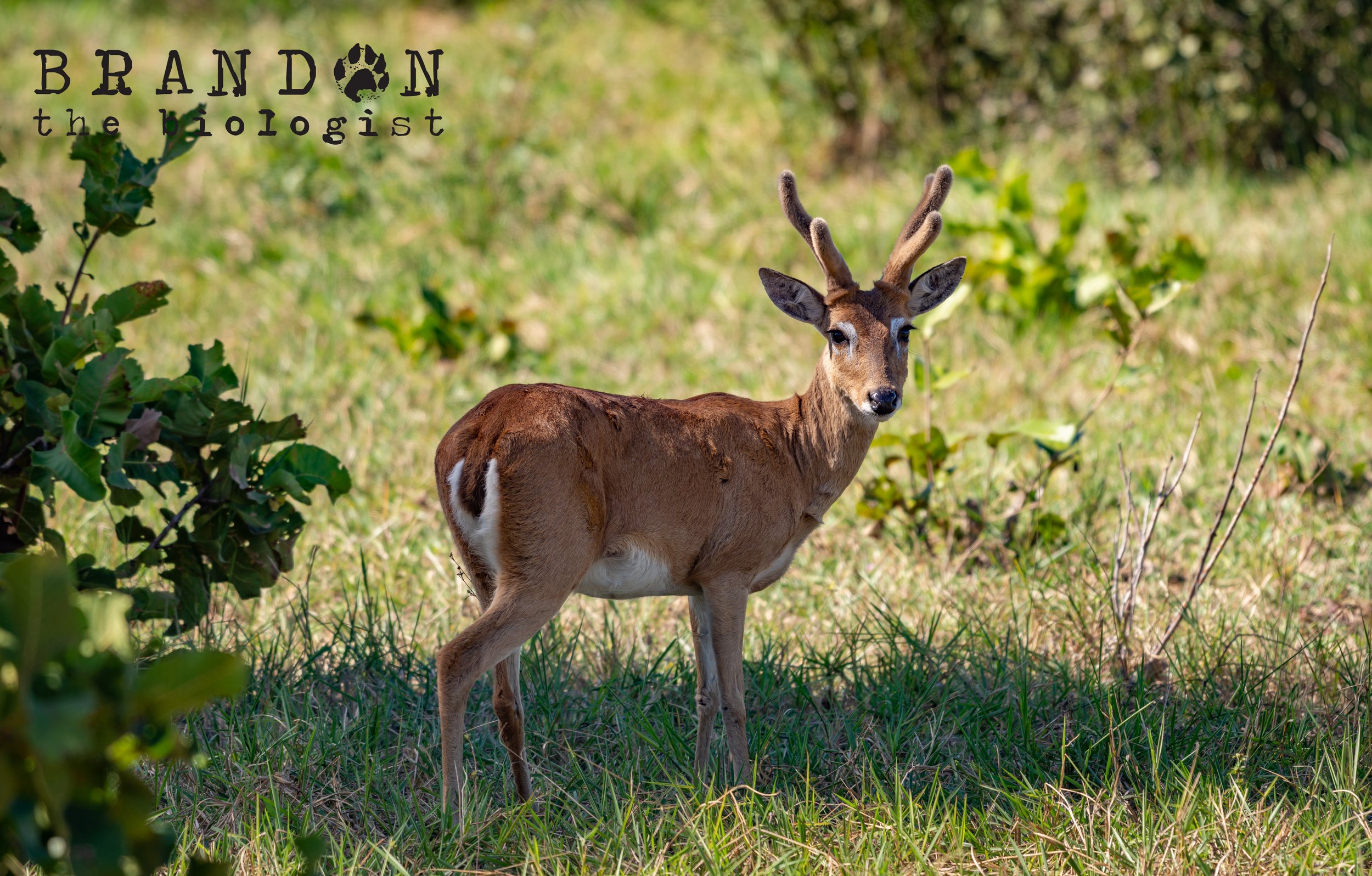 DSC_7099.jpg
