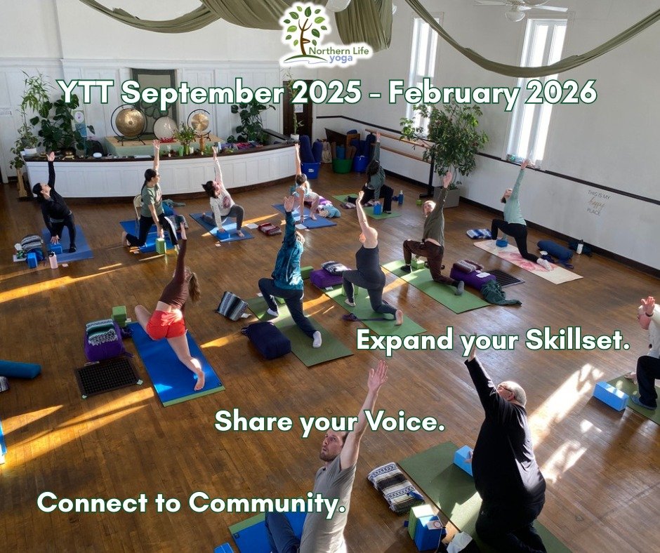 In NLY's Yoga Teacher Training Program, you'll explore a wide range of topics that will expand your skillset, encourage you to share your voice, and offer opportunities to connect to community, including

☀Meditation and mindfulness techniques to cul