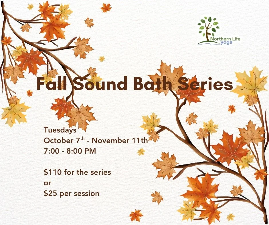 Tuesdays, October 7th - November 11th, gather in our cozy studio to experience the soothing resonance of sound bowls with Carrie Novak.
7:00 - 8:00 PM | Series: $110 | Single session: $25
Register for the series or for a single session (select the da