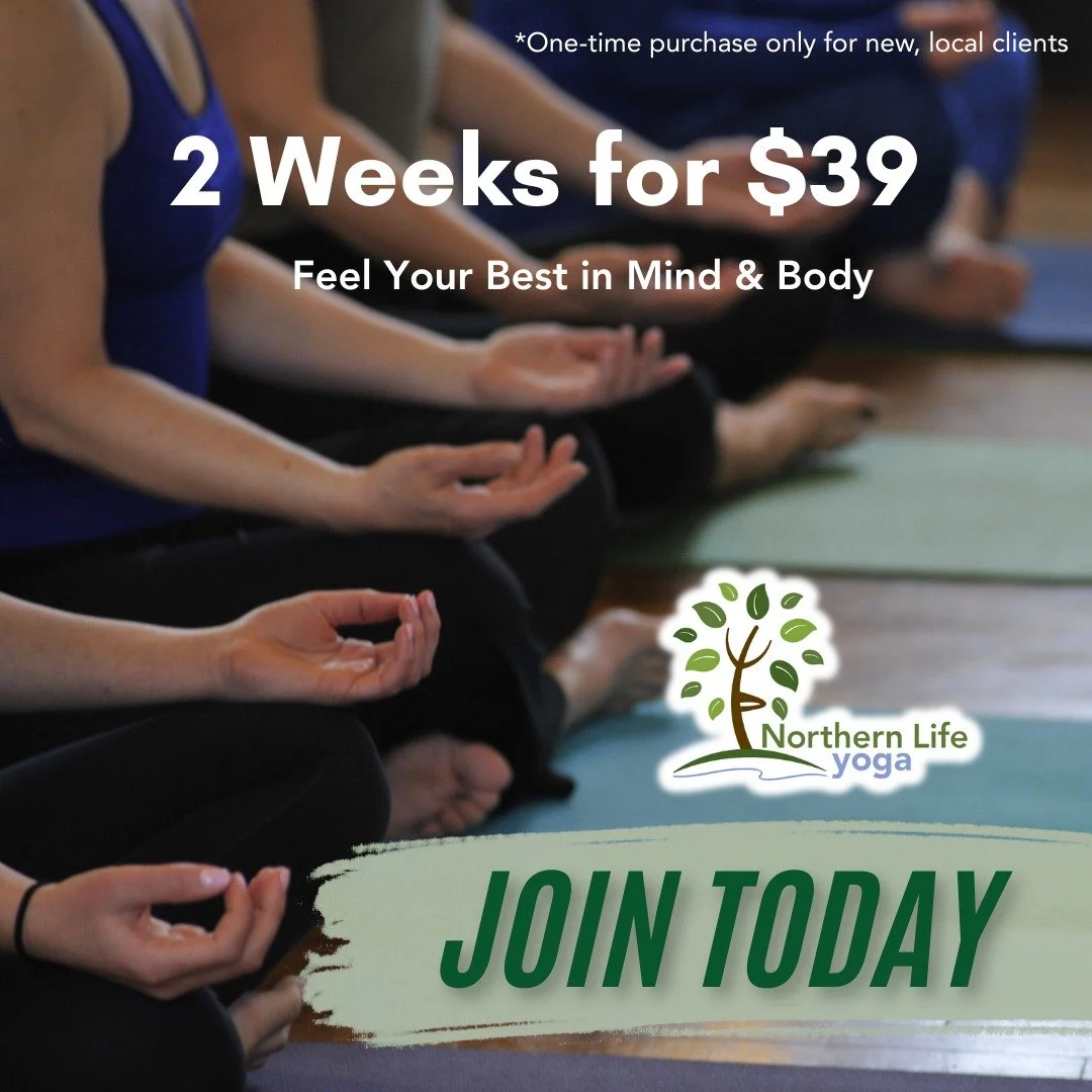 Share the gift of yoga with neighbors, friends, and family this year. 
Do you know someone new to town? Invite them to try our 2 week Intro Offer and experience the benefits of yoga in community! 
Register Here or Share this link: https://app.fitdegr