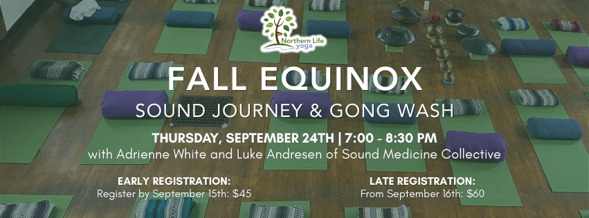 Sound Journey & Gong Wash