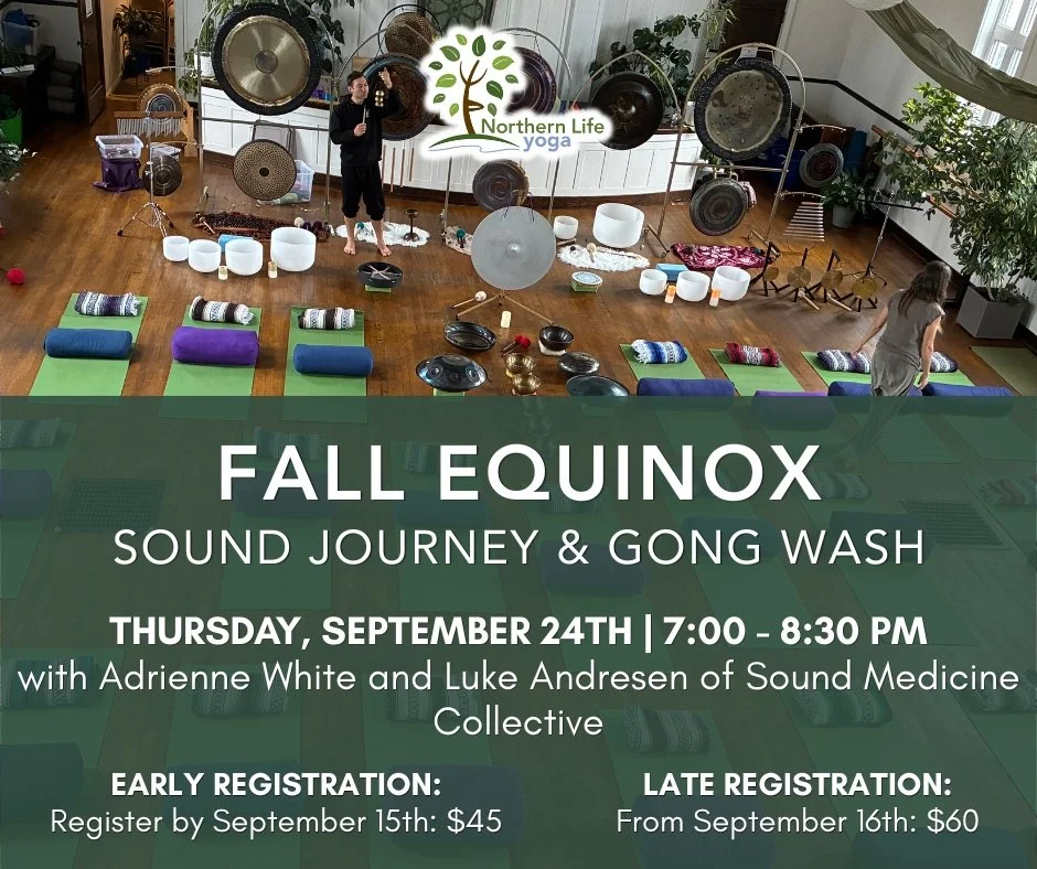 Join us for an evening of deep rest and immersive sound with the return of the Sound Medicine Collective's Sound Journey + Gong Wash to NLY.

You'll be surrounded by the vibrations of gongs, crystal and Tibetan bowls, drums, chimes, hand pan, Didgeri