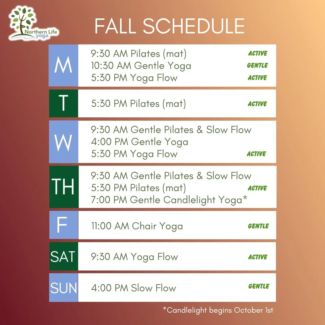 Our 🍂Fall Schedule🍁 begins September 8th, the day after Labor Day! Join us for 12 weekly classes, until October 1st when we add Gentle Candlelight Yoga as our 13th weekly offering!
Keep an eye out for a variety of four-session series and seasonal e
