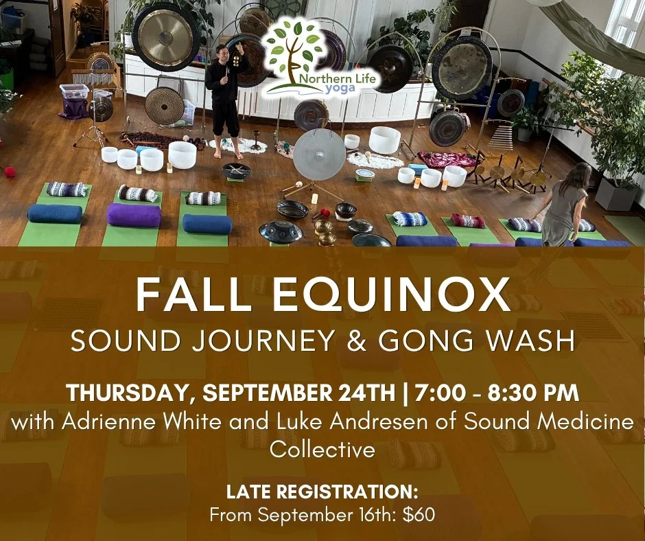 The seasons are changing, and autumn invites us to slow down and turn inward. 🍁

Join the Sound Medicine Collective for a beautiful Sacred Sound Journey + Gong Wash at Northern Life Yoga.

From a wall of gongs and crystal bowls to drums, chimes, han