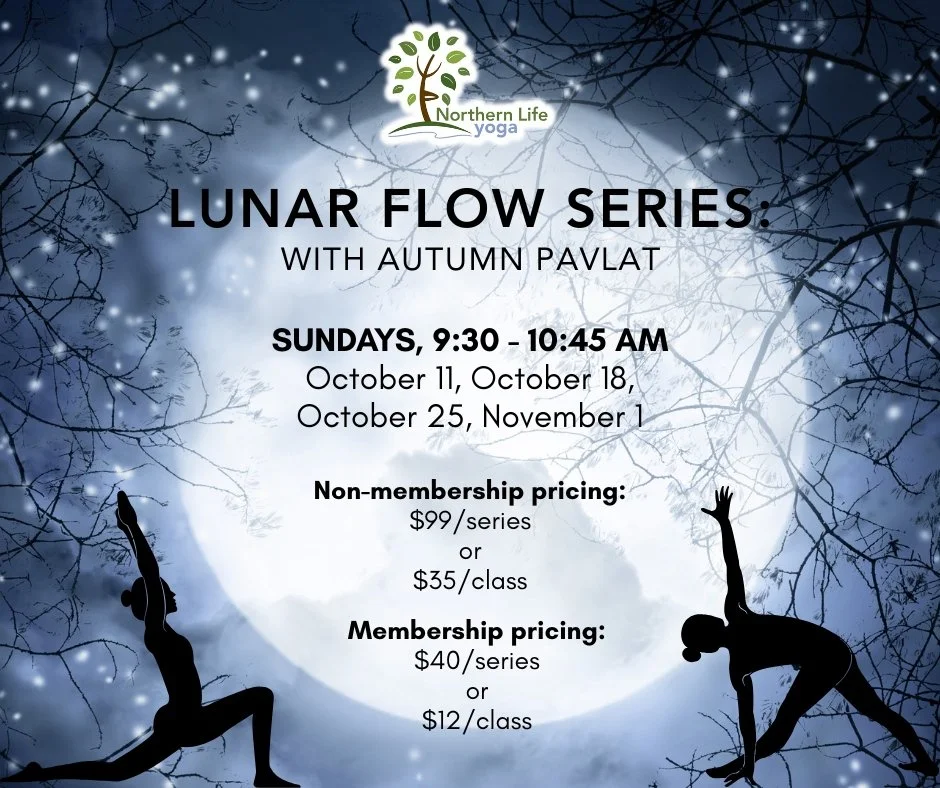 🌙 Continue Your Lunar Flow Journey! ✨

As the moon moves through its cycle, we're invited to keep growing, reflecting, and making space for what we need.

Join us for the third session of Lunar Flow, a 4-week yoga series blending mindful movement, p