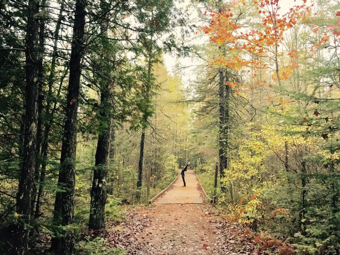Our bodies are incredibly wise. Learning to listen to their needs is the first step toward sustained vitality. Incorporating practices like yoga and pilates can help maintain flexibility, build strength, and calm the mind year-round. These practices 