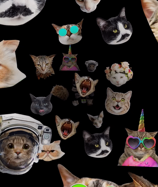 ezgif.com-gif-maker (100).gif