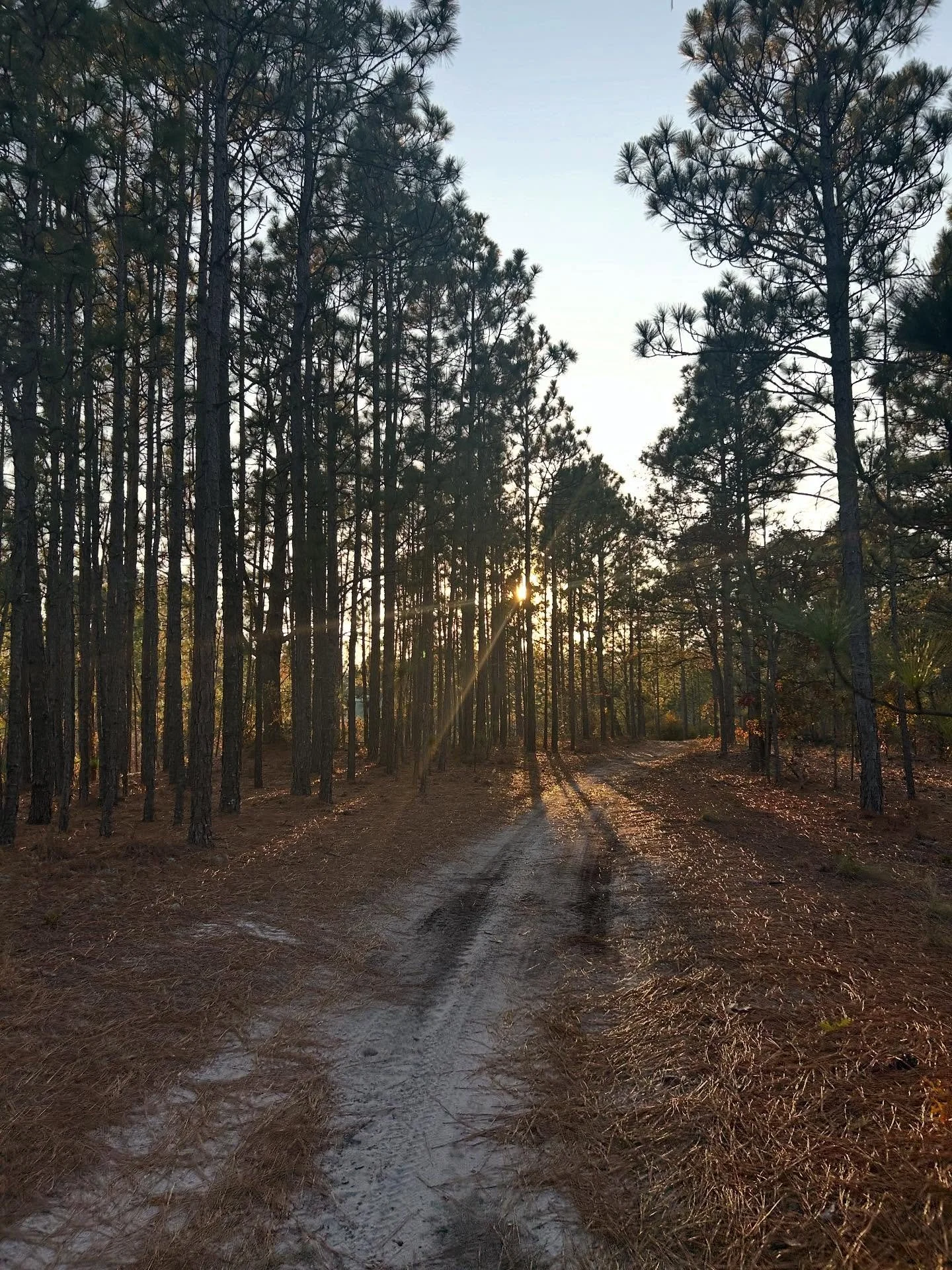 last week ✨ #grateful