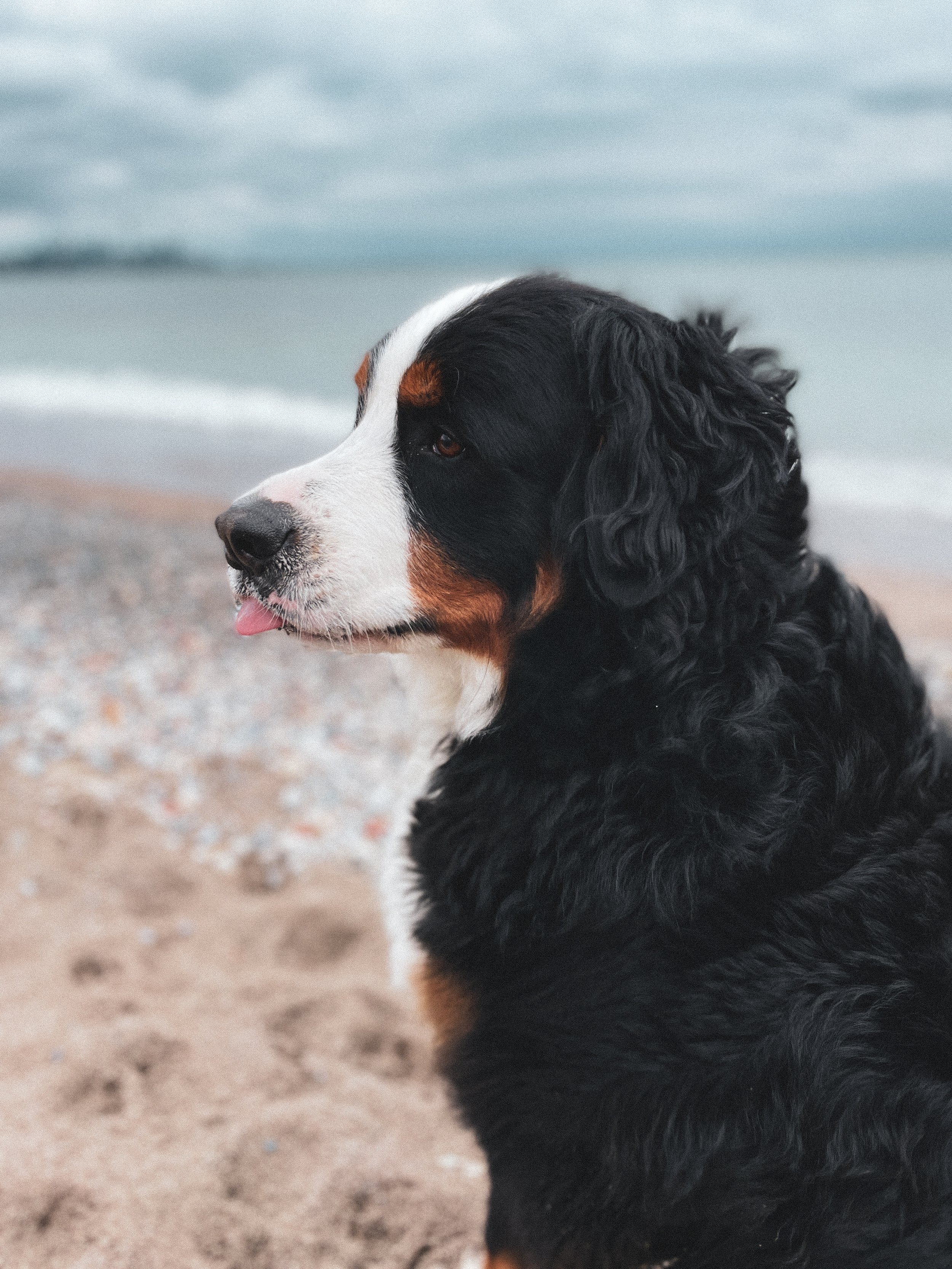 iPhone Photo 3638.jpeg