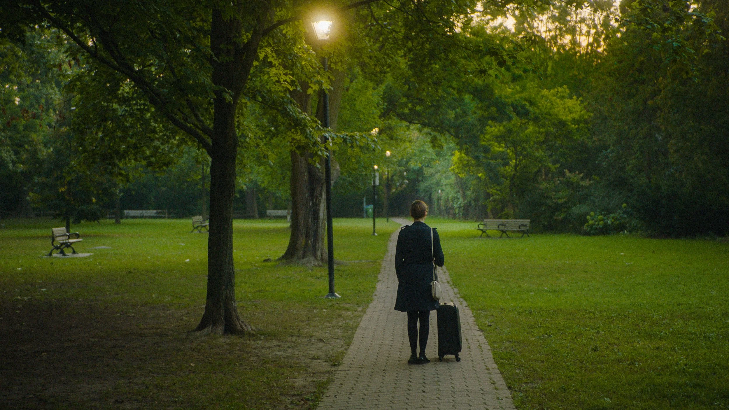 Think About a Dolphin For Once