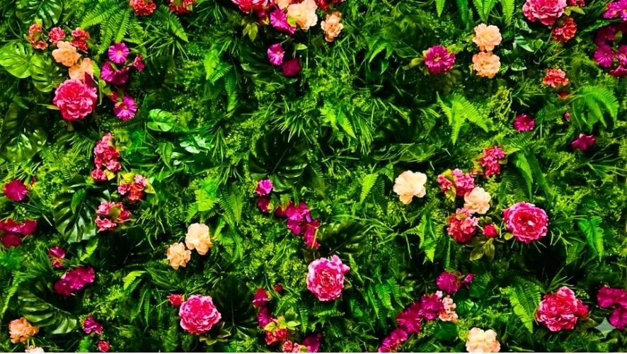 Lili and Cata | Non-toxic Nail Bar