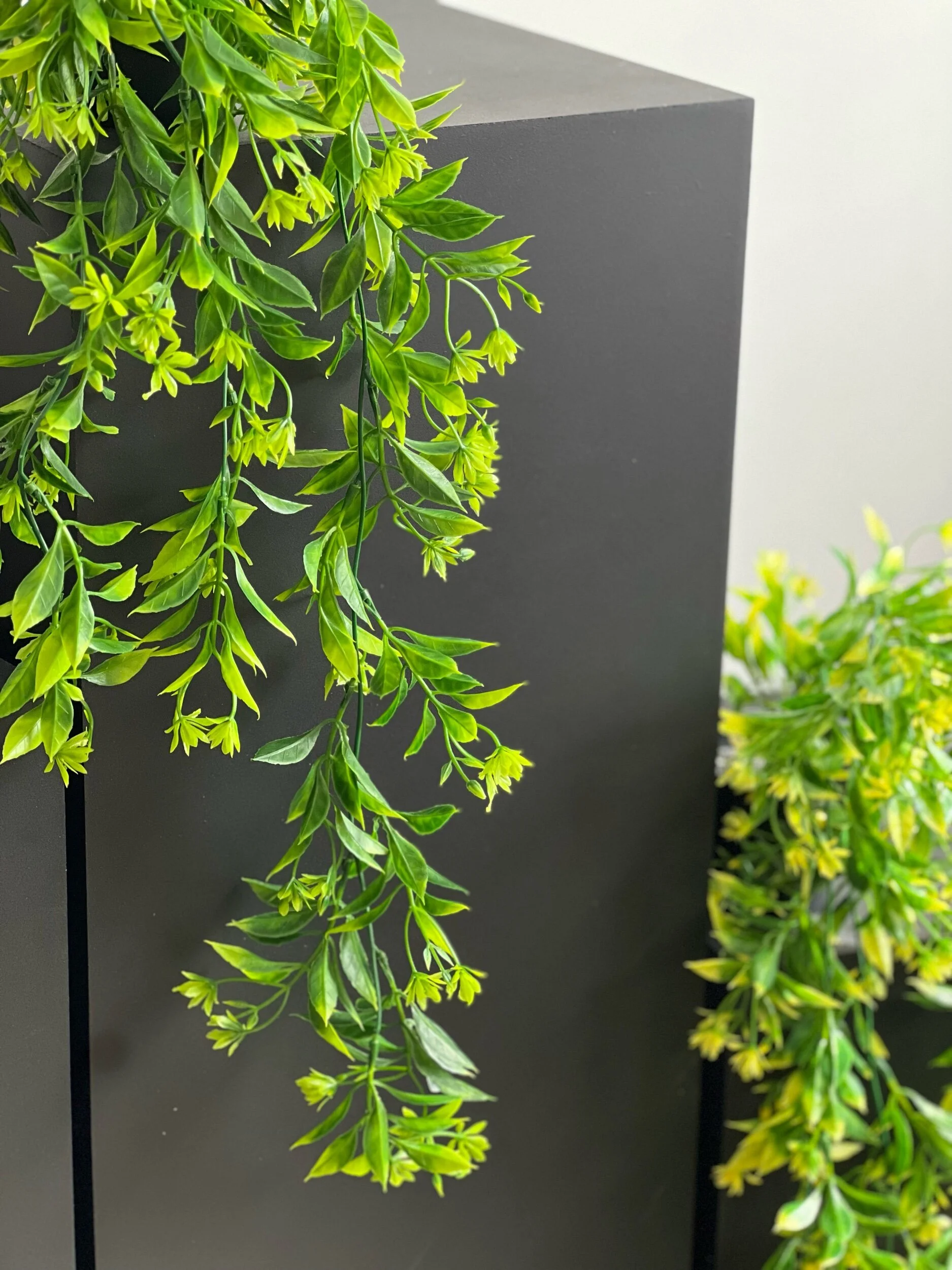 A1D76B19-01D8-43B6-8320-91F8A3D59858